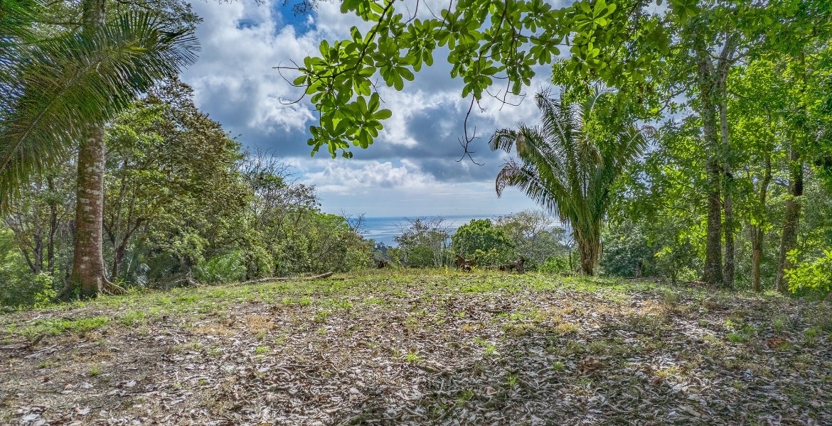 Lot 5-minutes From The Beach, San Isidro, Santa Teresa, Cobano, Puntarenas, Puntarenas, Costa Rica 60111, San Isidro