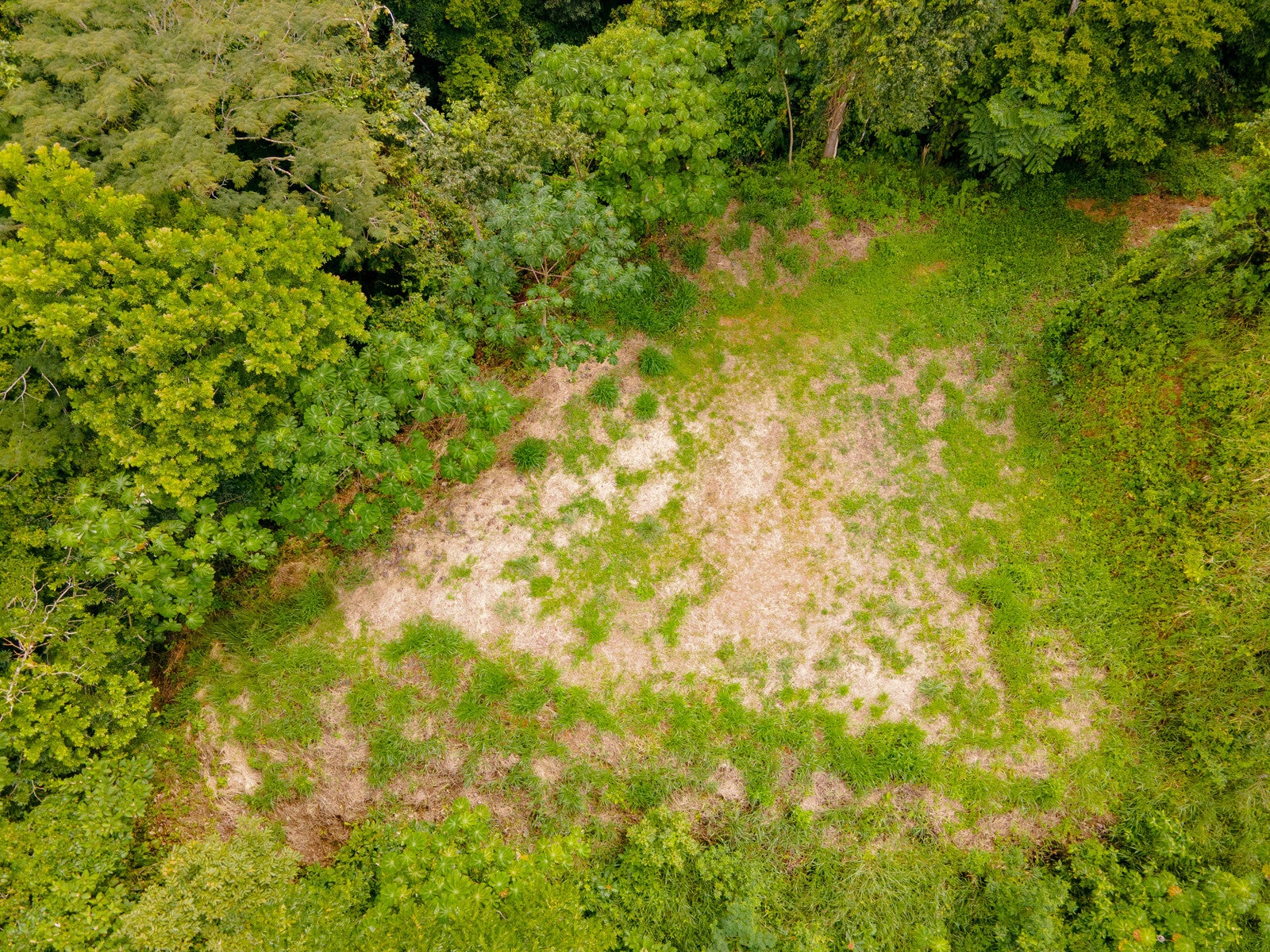 Lot 8 — photo 15 of 19