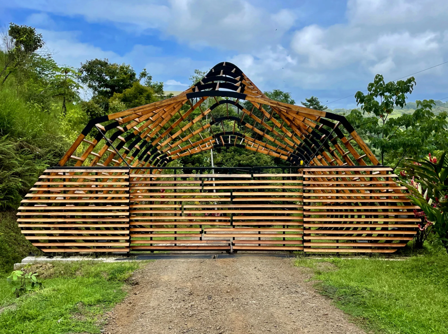 Lot 8 — photo 2 of 19