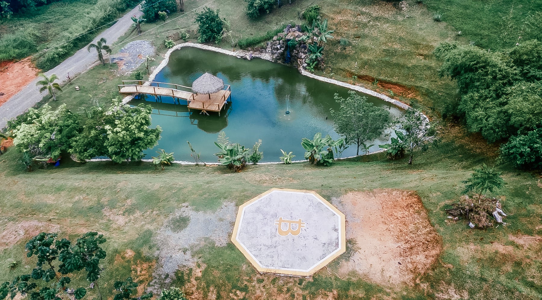 Lot 8 — photo 6 of 19