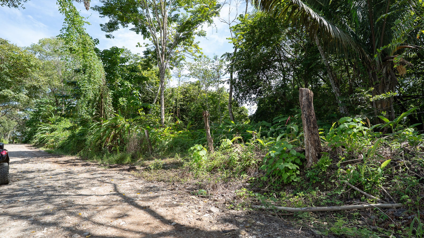 Cabuya Jungle Lot — photo 2 of 11
