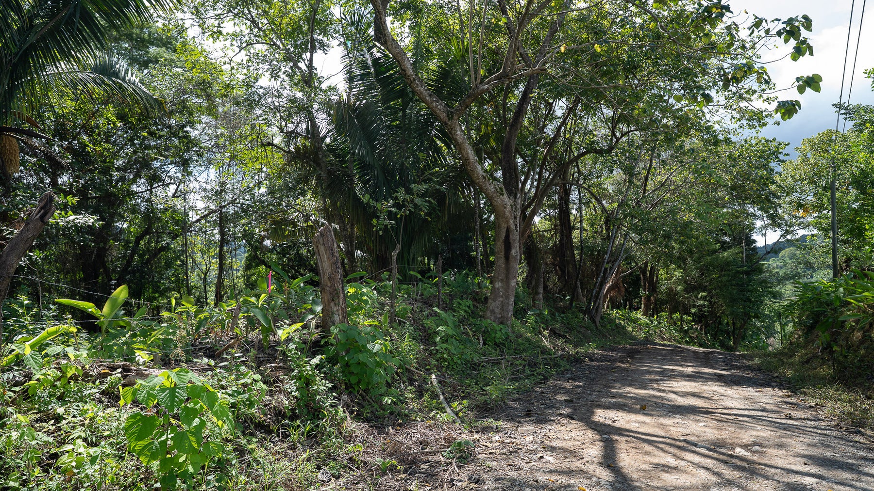 Cabuya Jungle Lot — photo 4 of 11