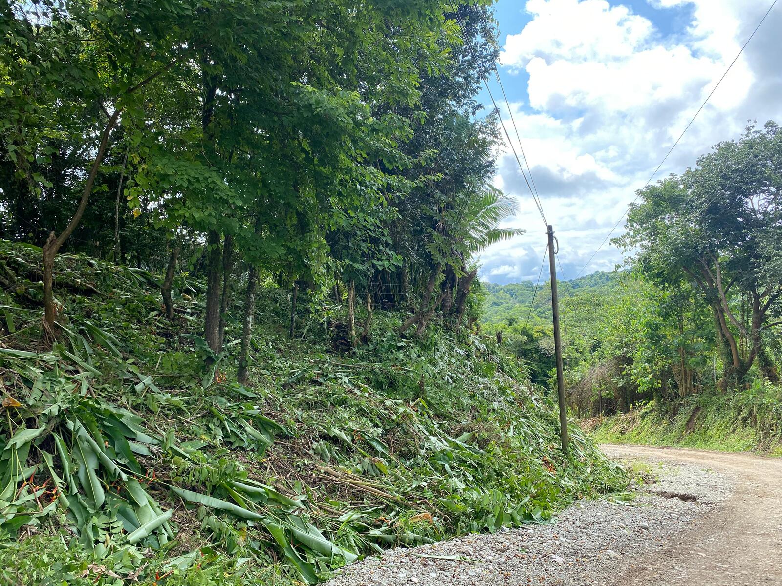 Cabuya Comemrcial Lot — photo 3 of 5