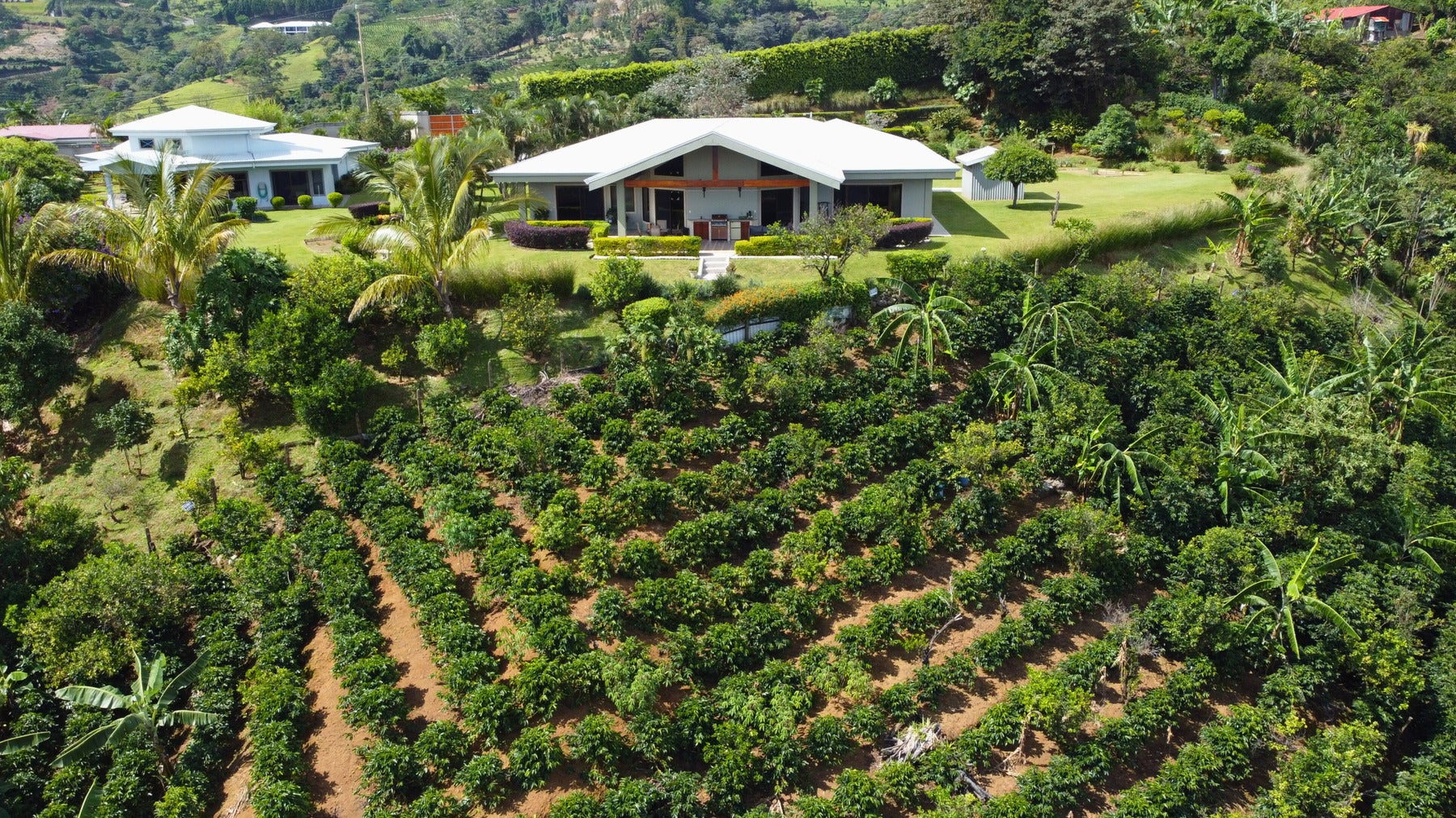 Hacienda Cielo de Café — photo 2 of 19