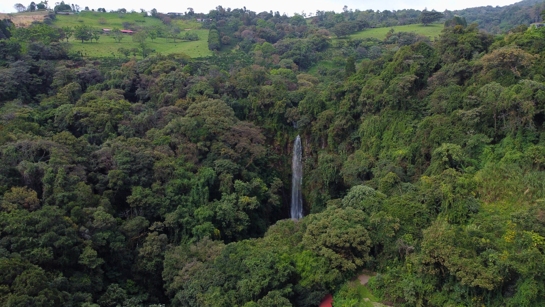 Hacienda Cielo de Café — photo 16 of 19