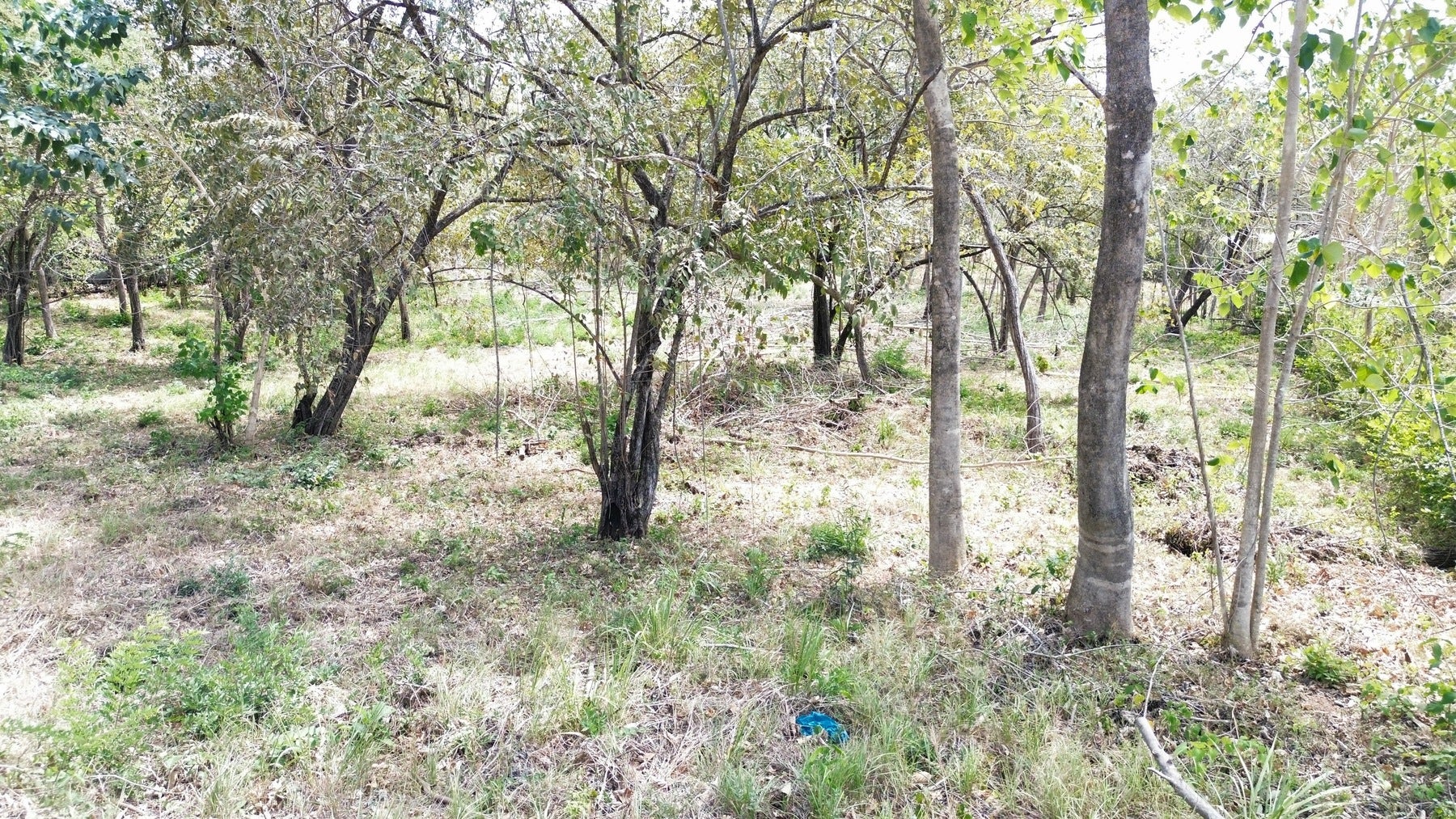 Property fully ready to build — photo 3 of 7