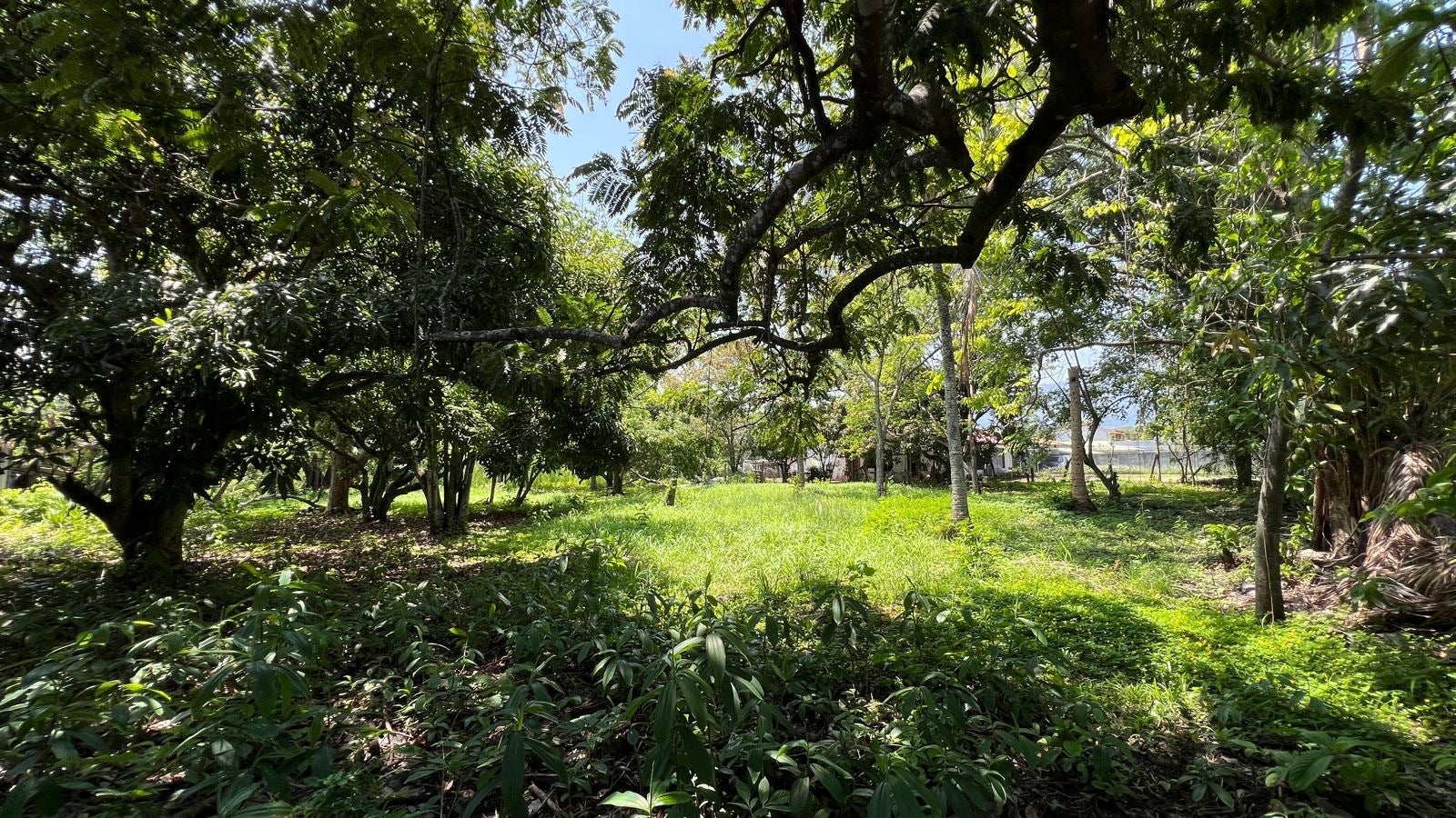 Rio Oro flat land, Rio Oro, Santa Ana, Santa Ana, Santa Ana, San Jose, Costa Rica 10201 — photo 2 of 5