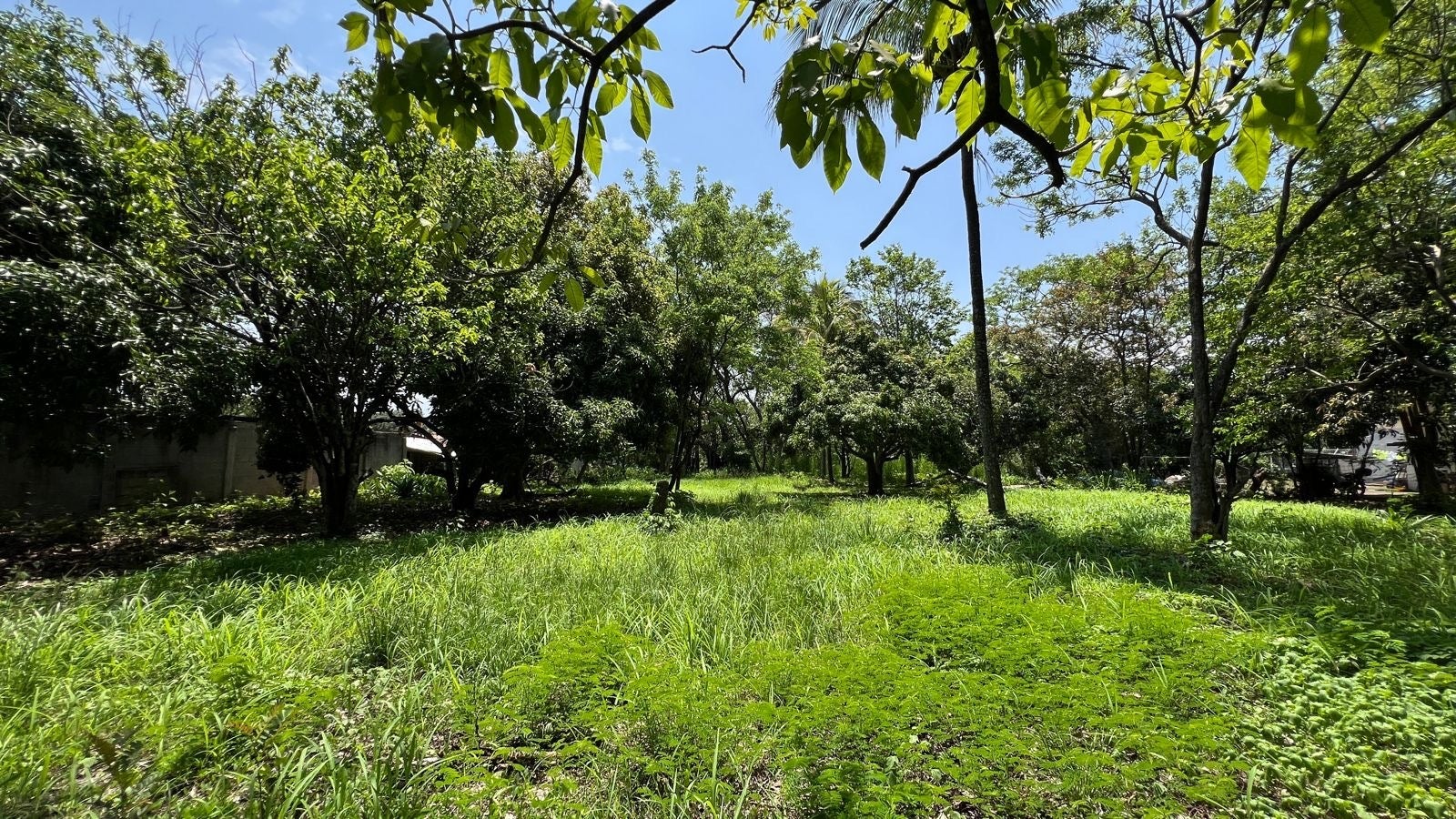 Rio Oro flat land — photo 7 of 7