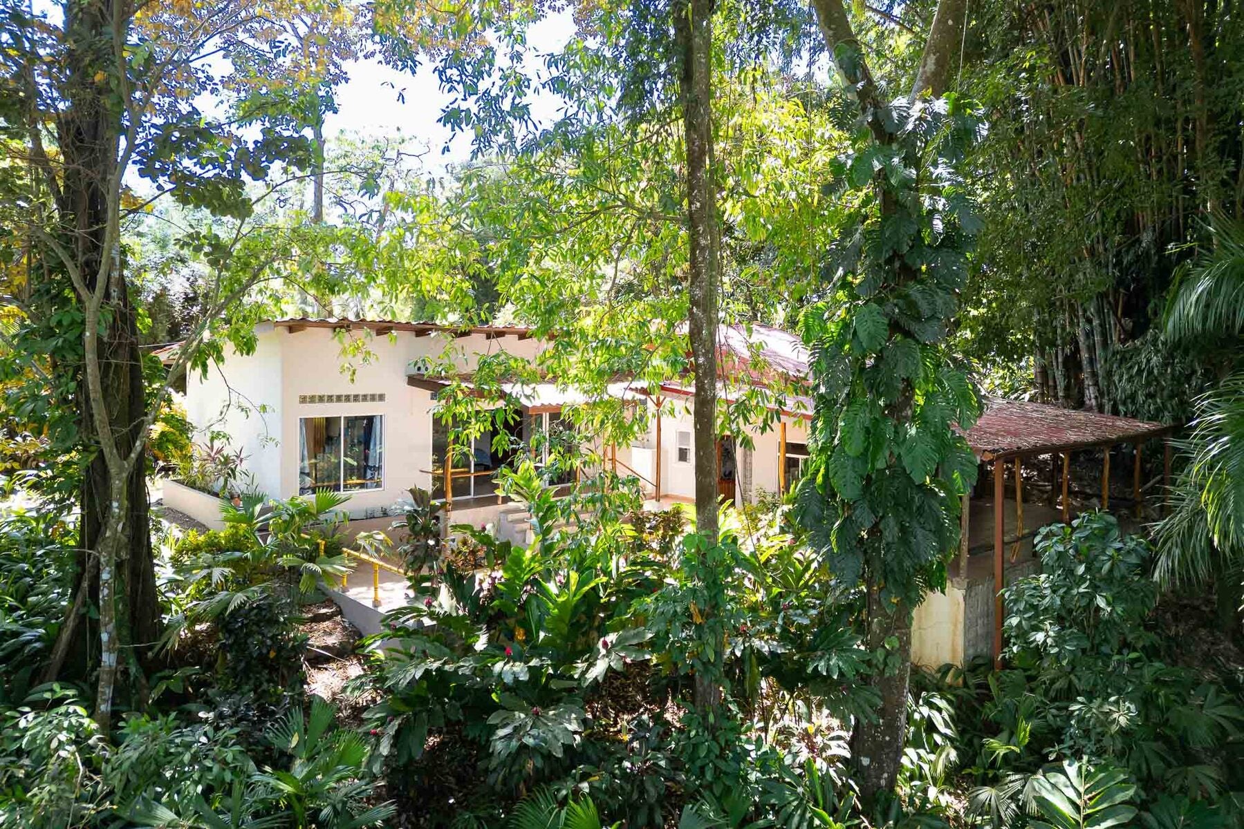 Jungle Villa — photo 7 of 14