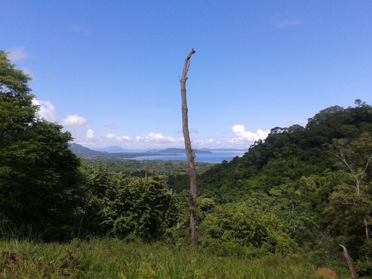 Ocean View Development Land, Puntarenas, Puntarenas, Puntarenas, Costa Rica 60105