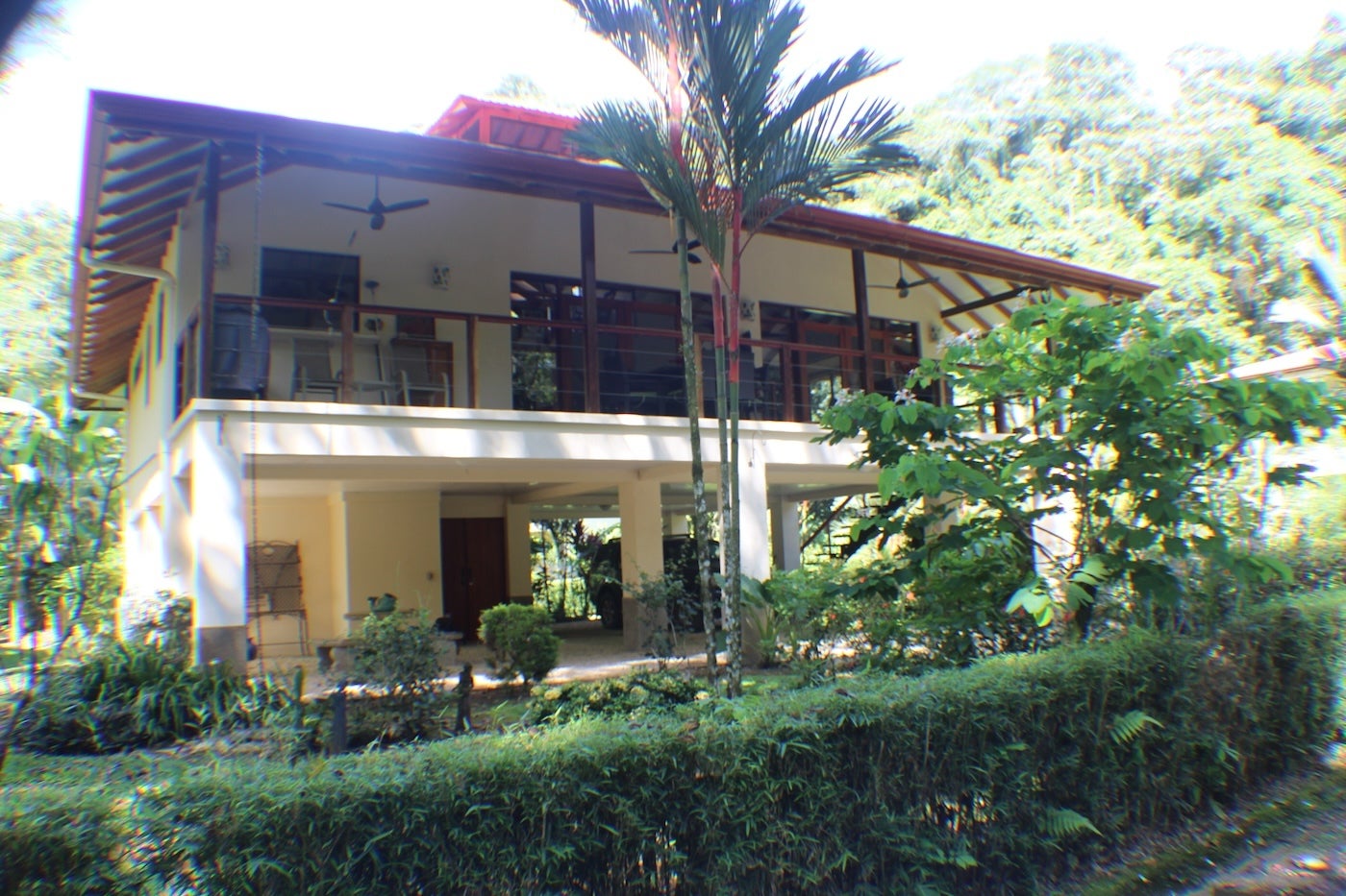 Affordable Jungle Home — photo 7 of 19