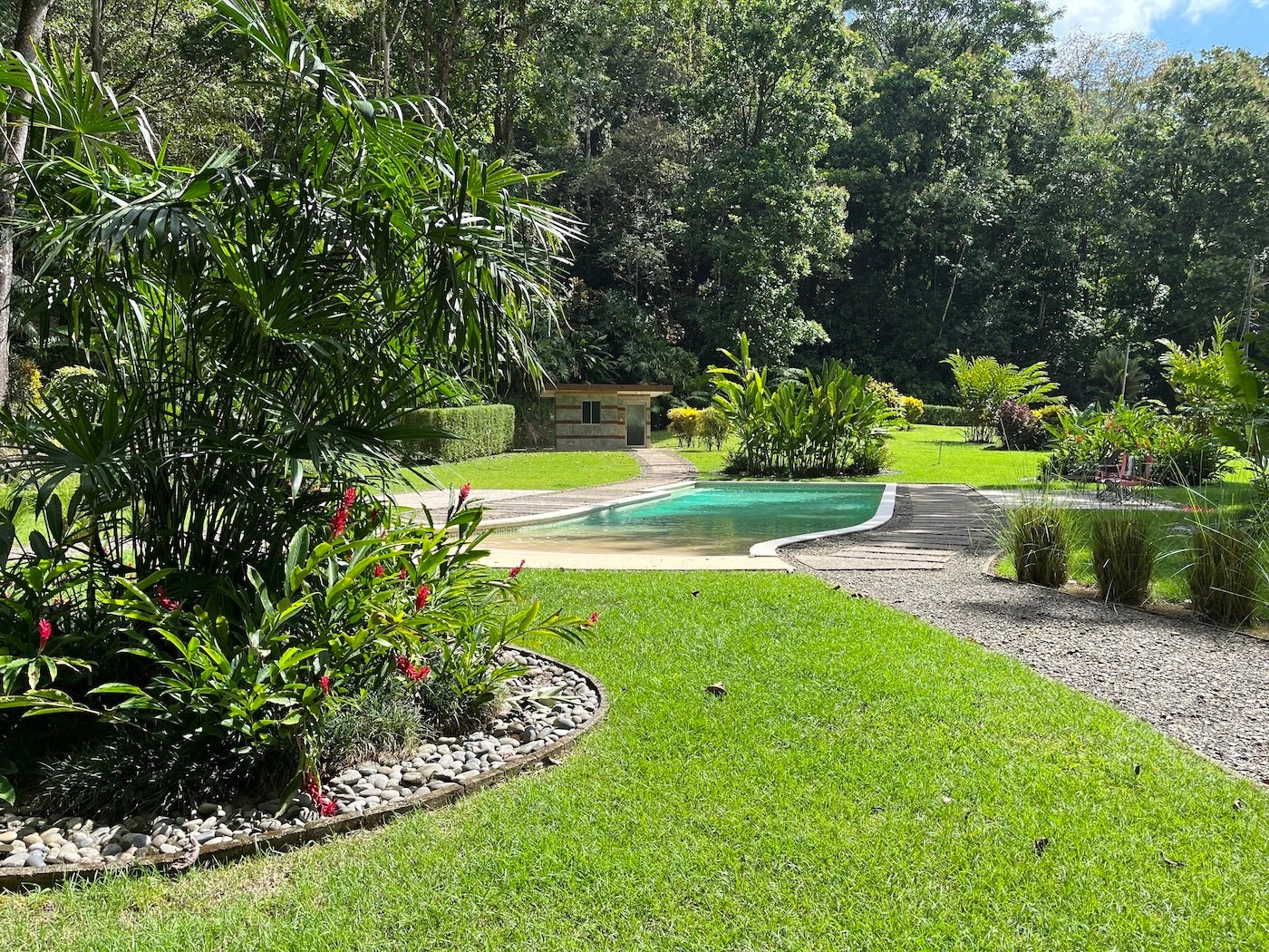 Affordable Jungle Home — photo 5 of 19