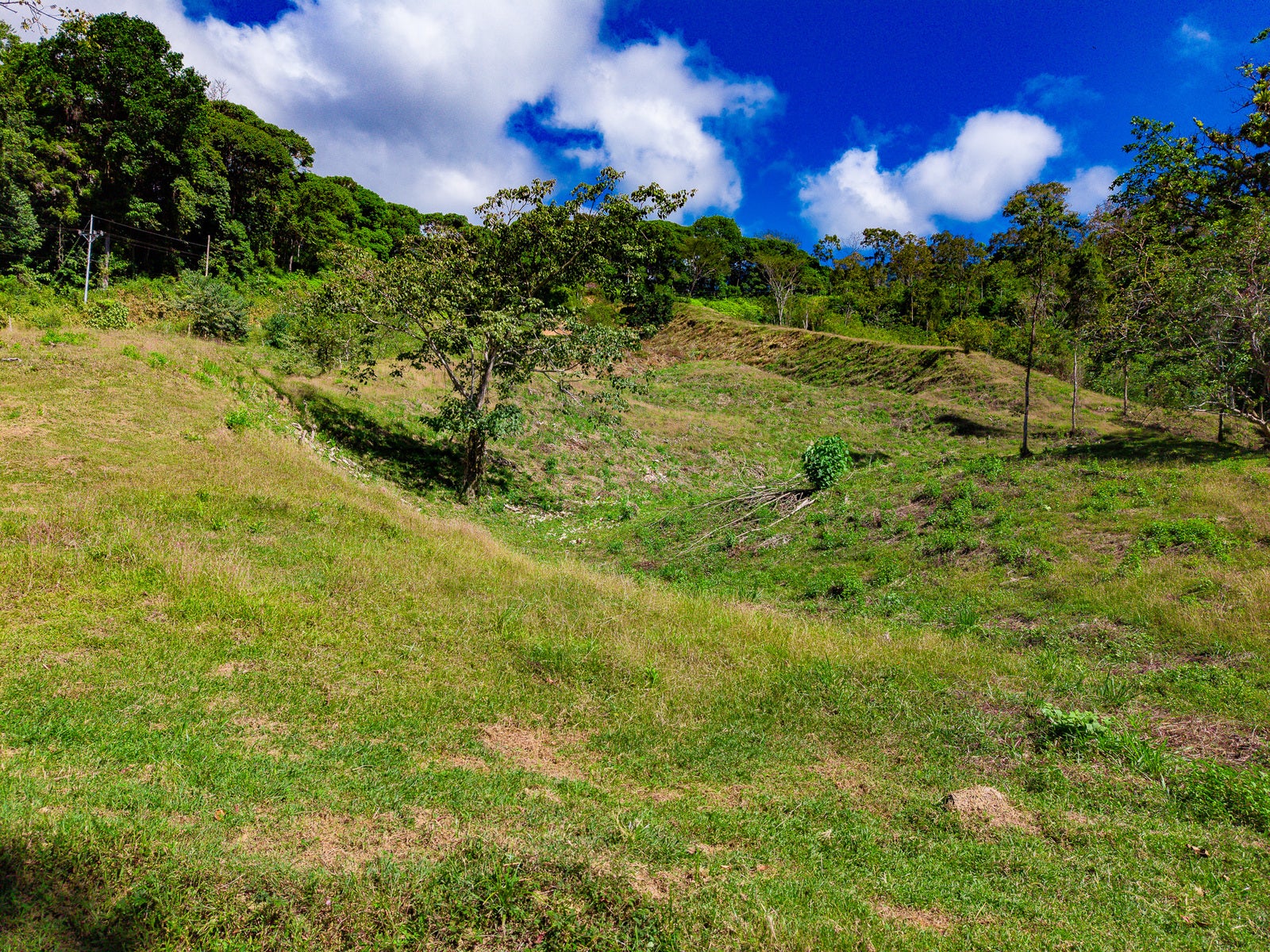 Luxury Waterfall Farm — photo 11 of 19