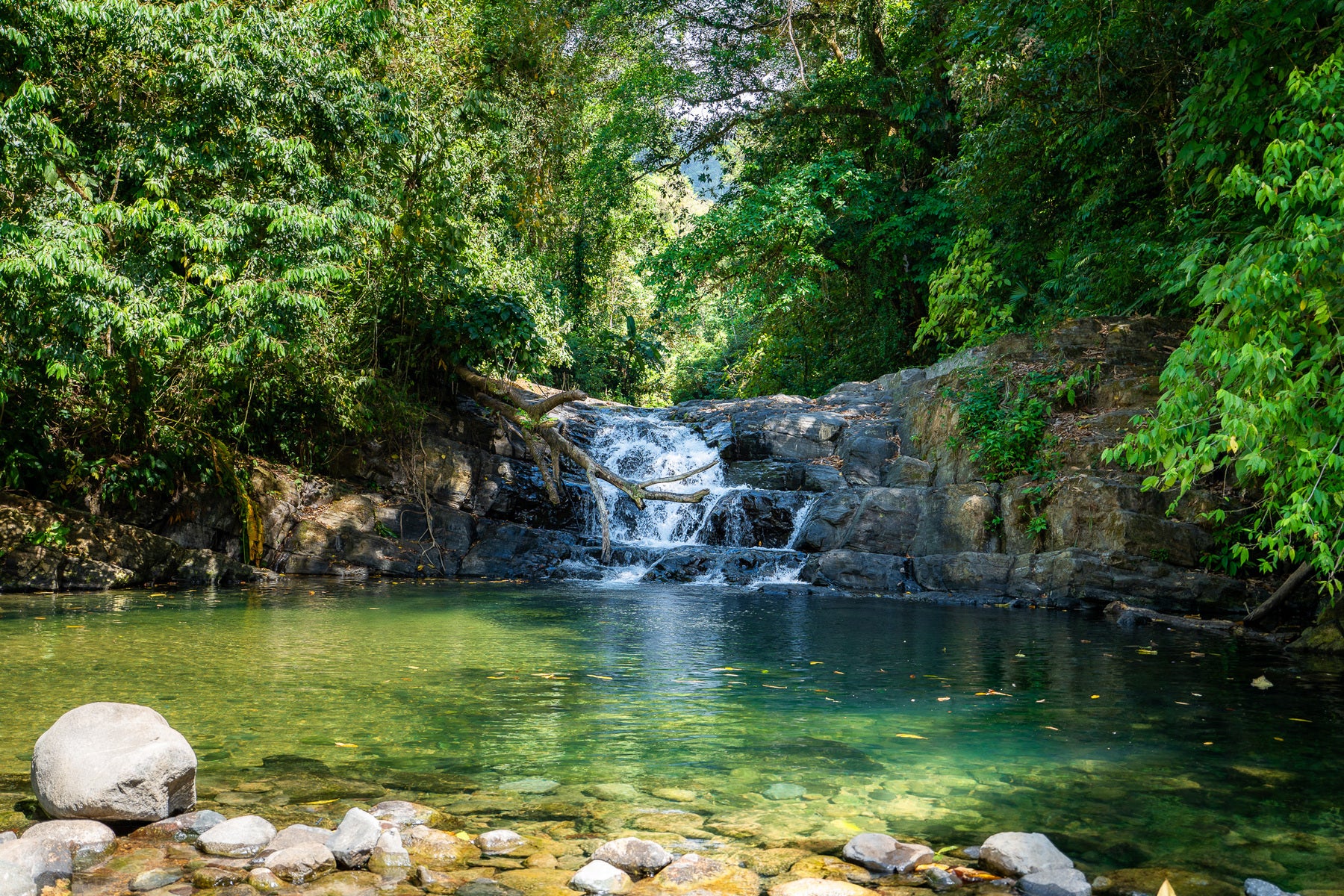 Luxury Waterfall Farm — photo 14 of 19