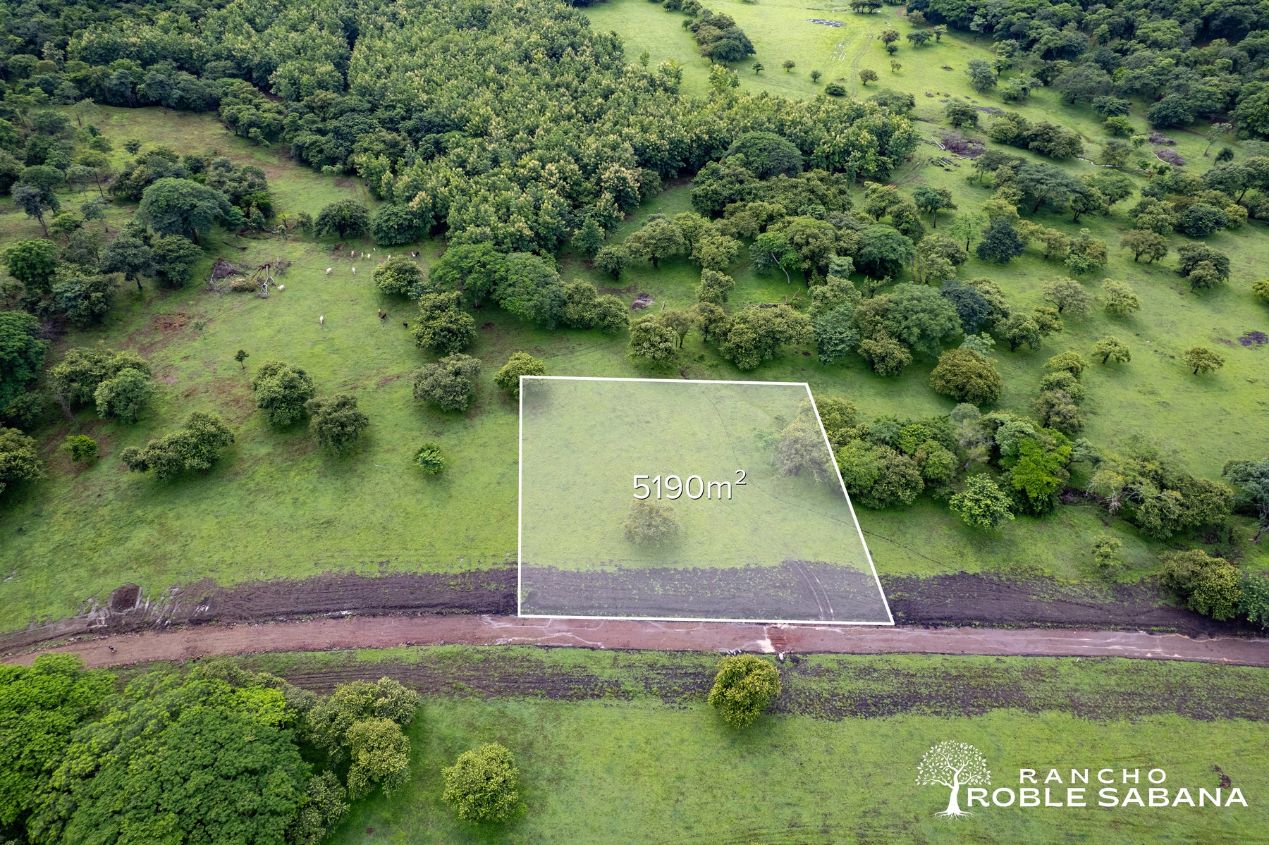 Premium Lot Inside Nature, Villareal, Tamarindo, Tamarindo, Santa Cruz, Guanacaste, Costa Rica 50309