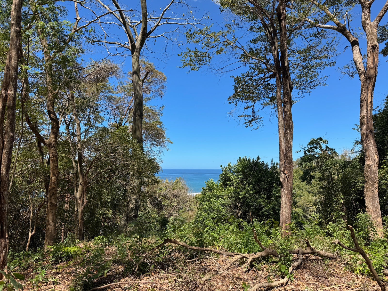 Prime Lot on Avenida Cielo in Hermosa — photo 3 of 14