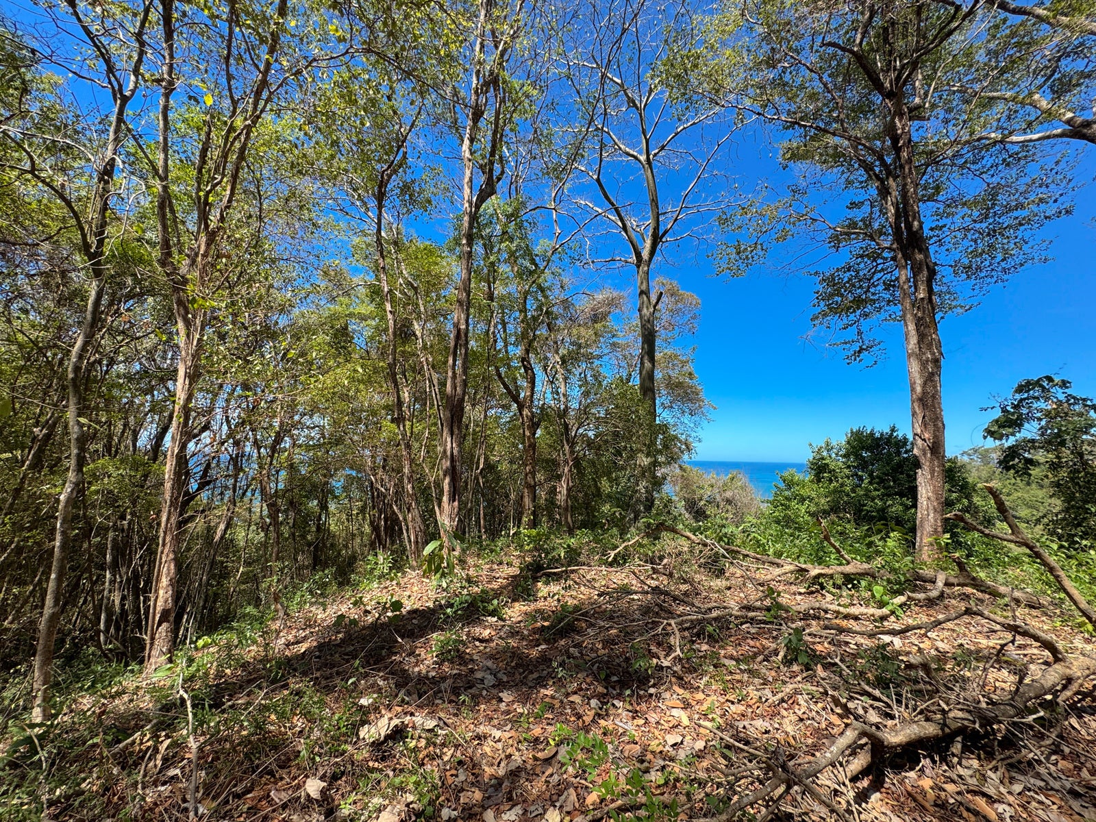 Prime Lot on Avenida Cielo in Hermosa — photo 7 of 14