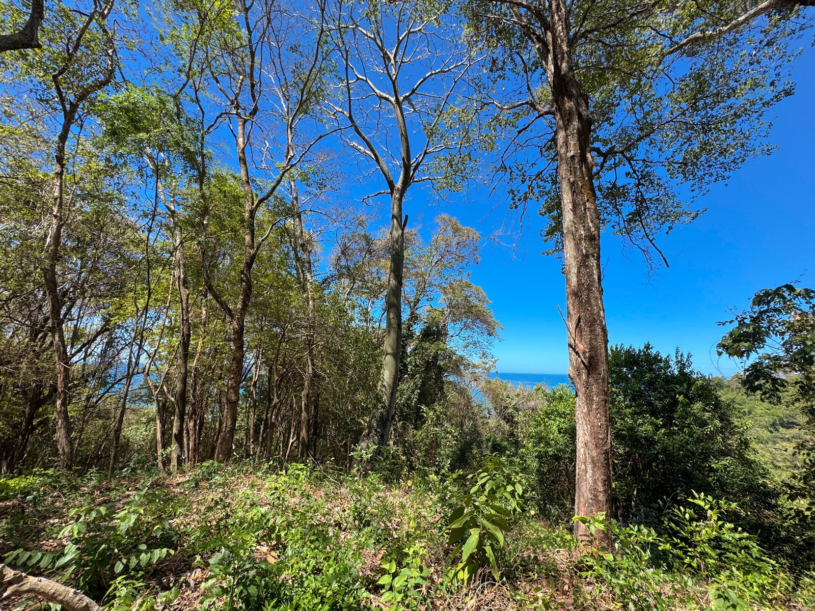 Prime Lot on Avenida Cielo in Hermosa — photo 11 of 14