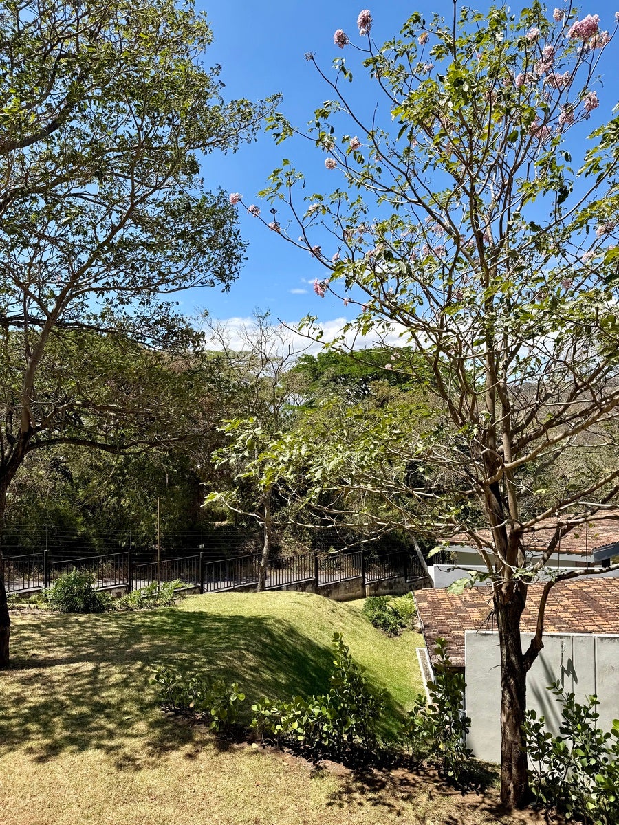 Contemporary Apartment with Large Terrace — photo 4 of 19