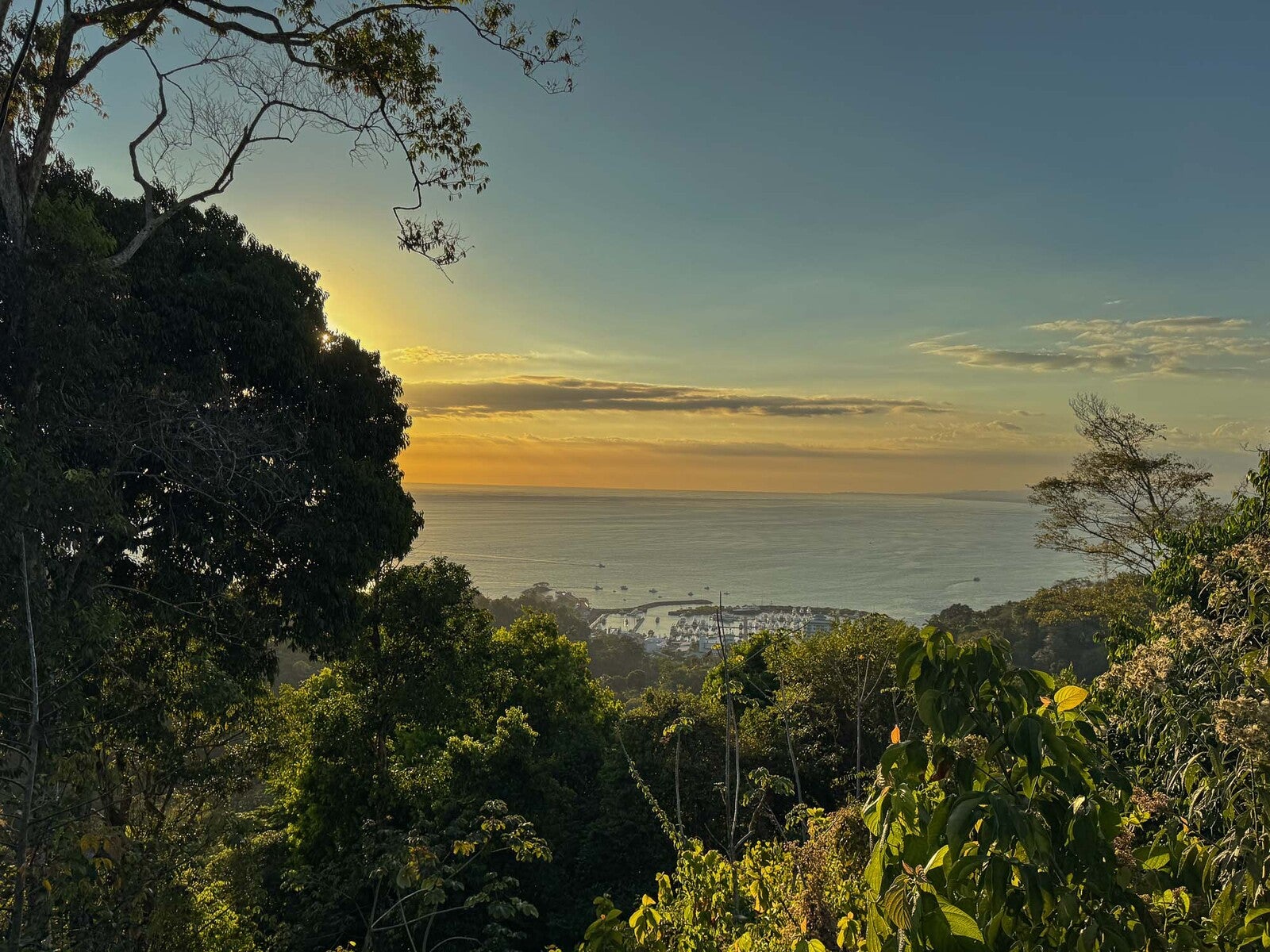 Exceptional Ocean View Estate — photo 5 of 18