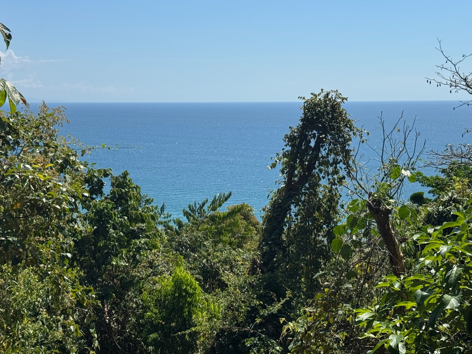 Ocean View Lot Close to the Beach — photo 2 of 6