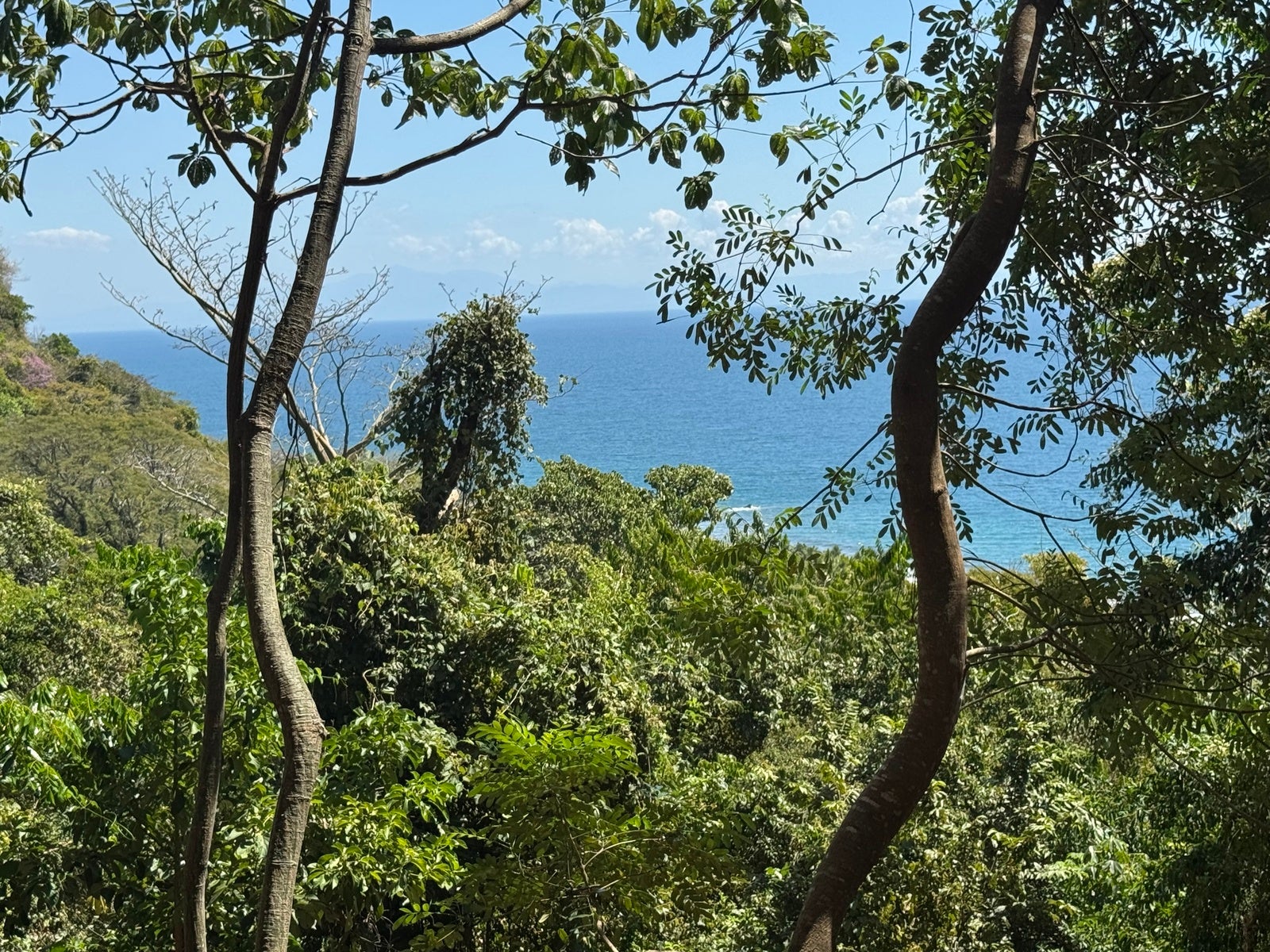 Ocean View Lot Close to the Beach — photo 5 of 6