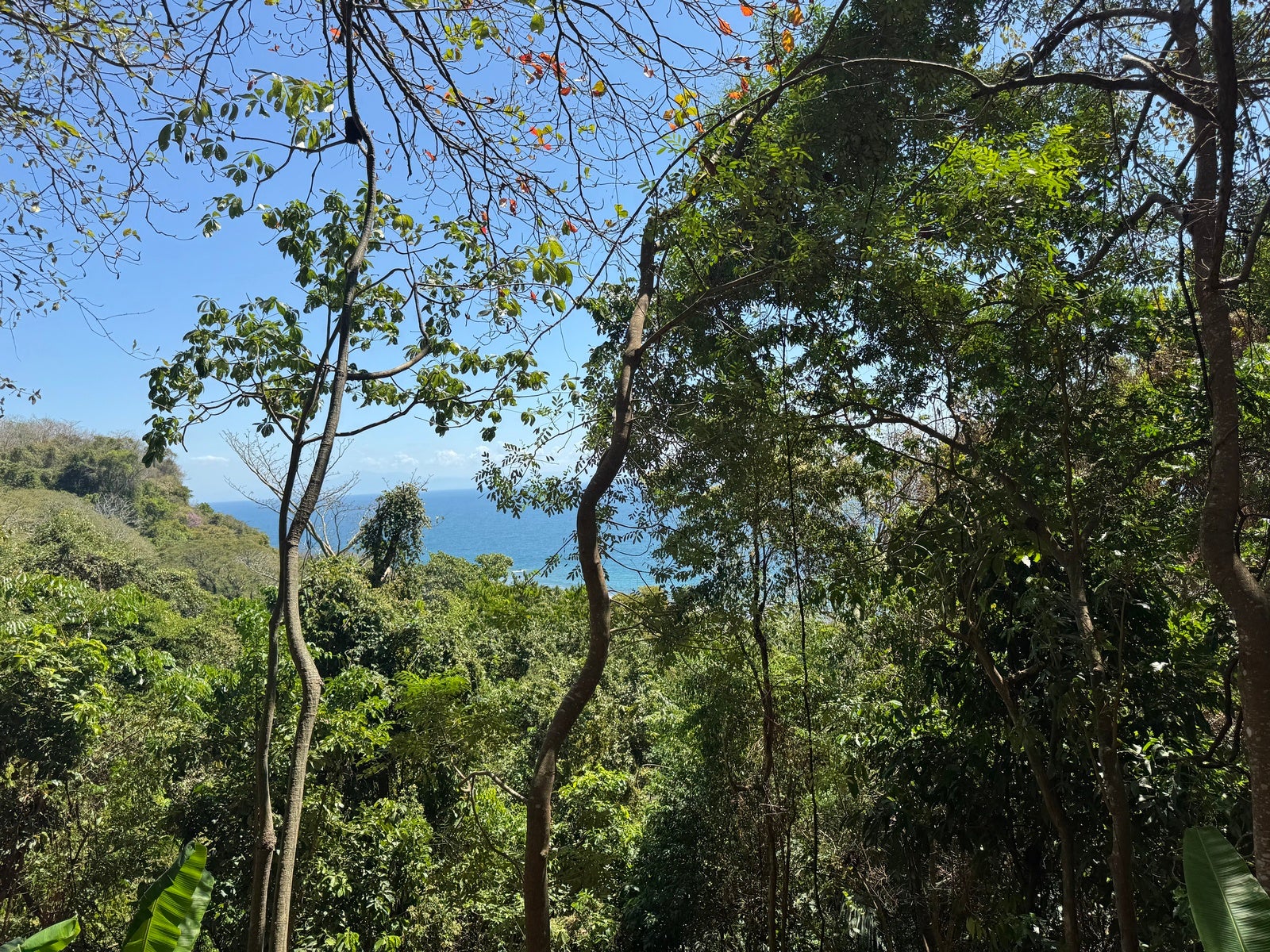 Ocean View Lot Close to the Beach — photo 3 of 6