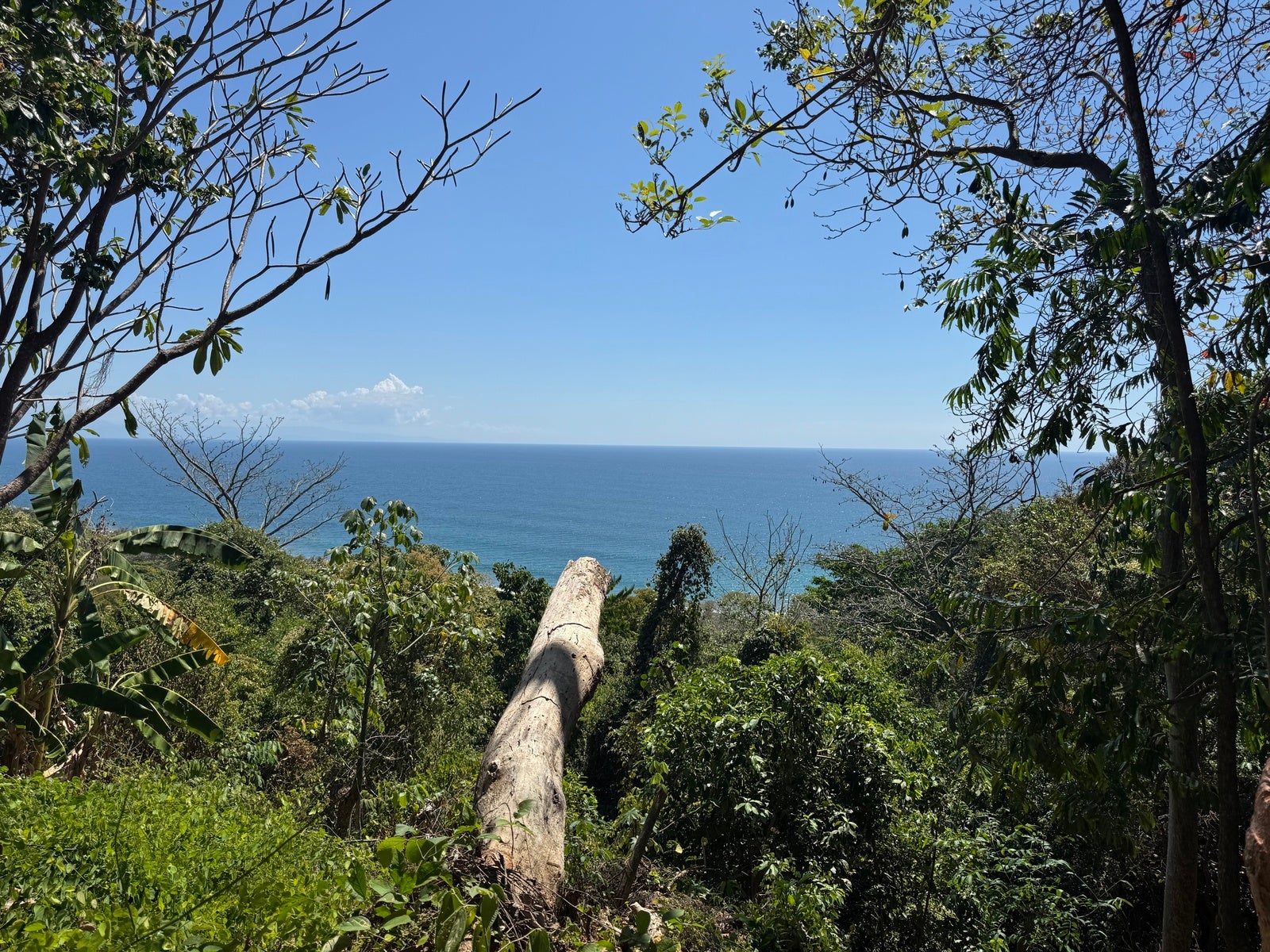 Ocean View Lot Close To The Beach, Montezuma, Cobano, Puntarenas, Puntarenas, Costa Rica 60111