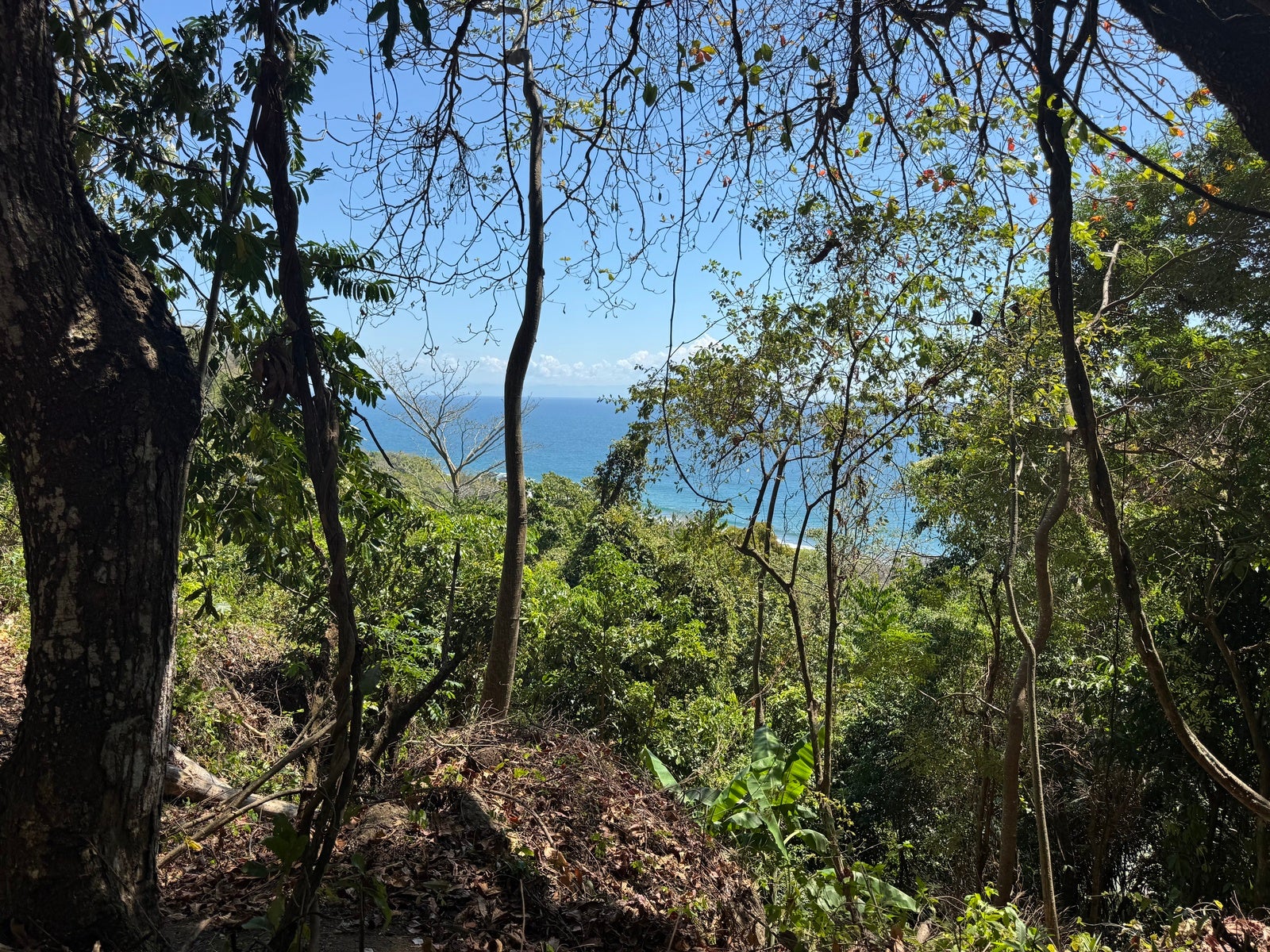 Ocean View Lot Close to the Beach — photo 6 of 6