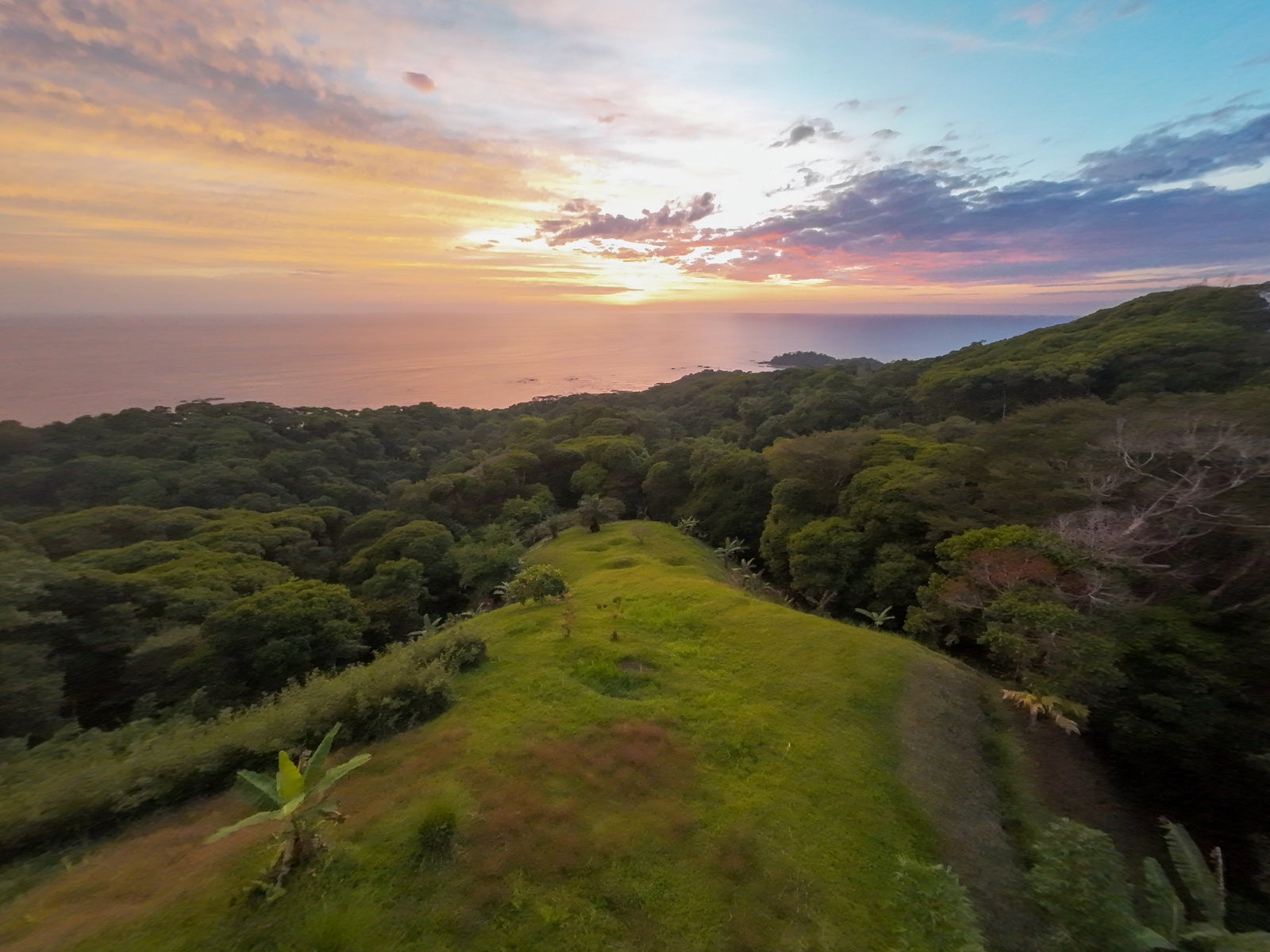 Luxury Hilltop Estate — photo 5 of 11
