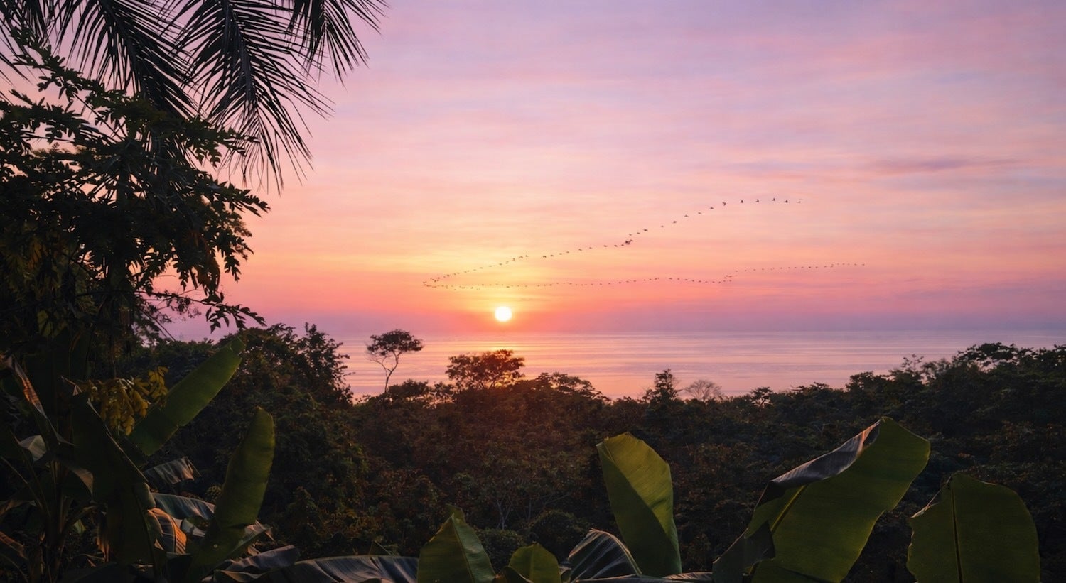 Manzanillo Lot With Panoramic Views — photo 2 of 18