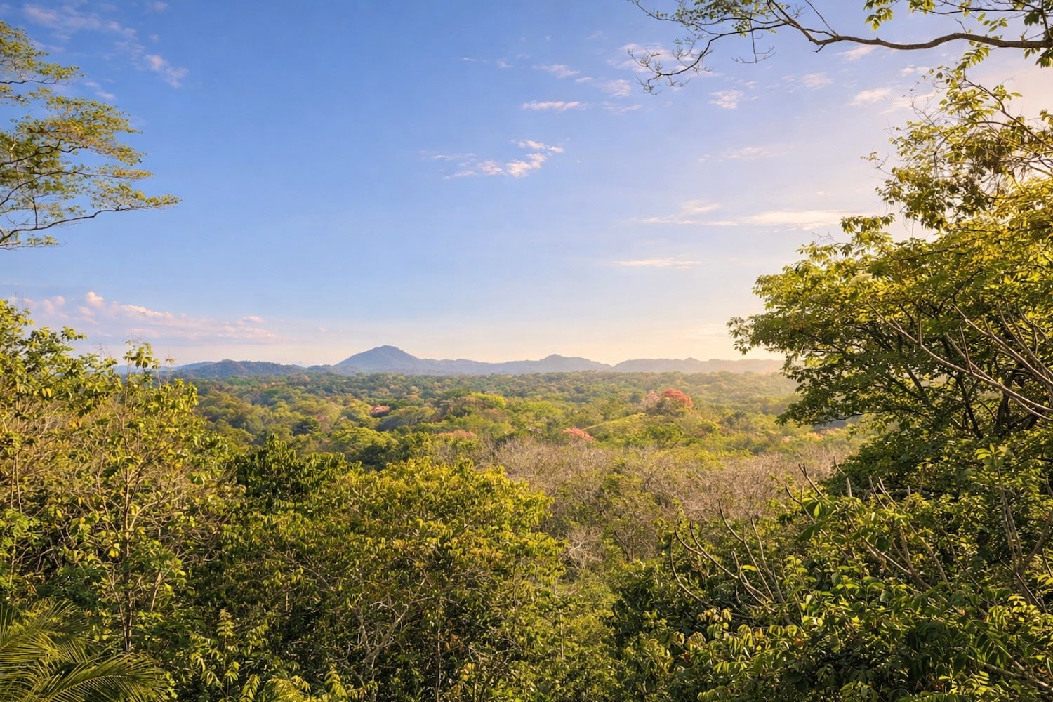 Manzanillo Lot With Panoramic Views — photo 4 of 18