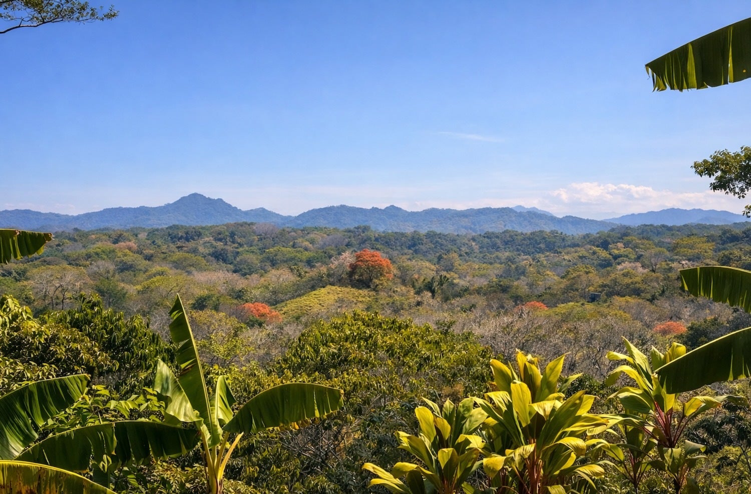 Manzanillo Lot With Panoramic Views — photo 15 of 18