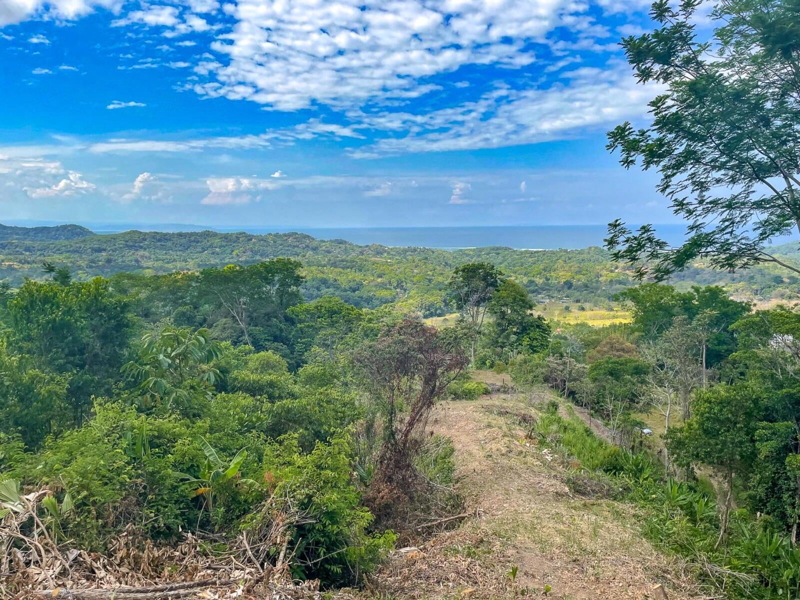 Dream Home Or Investment Development Opportunity, Ojochal, Bahia Ballena, Osa, Puntarenas, Costa Rica 60501