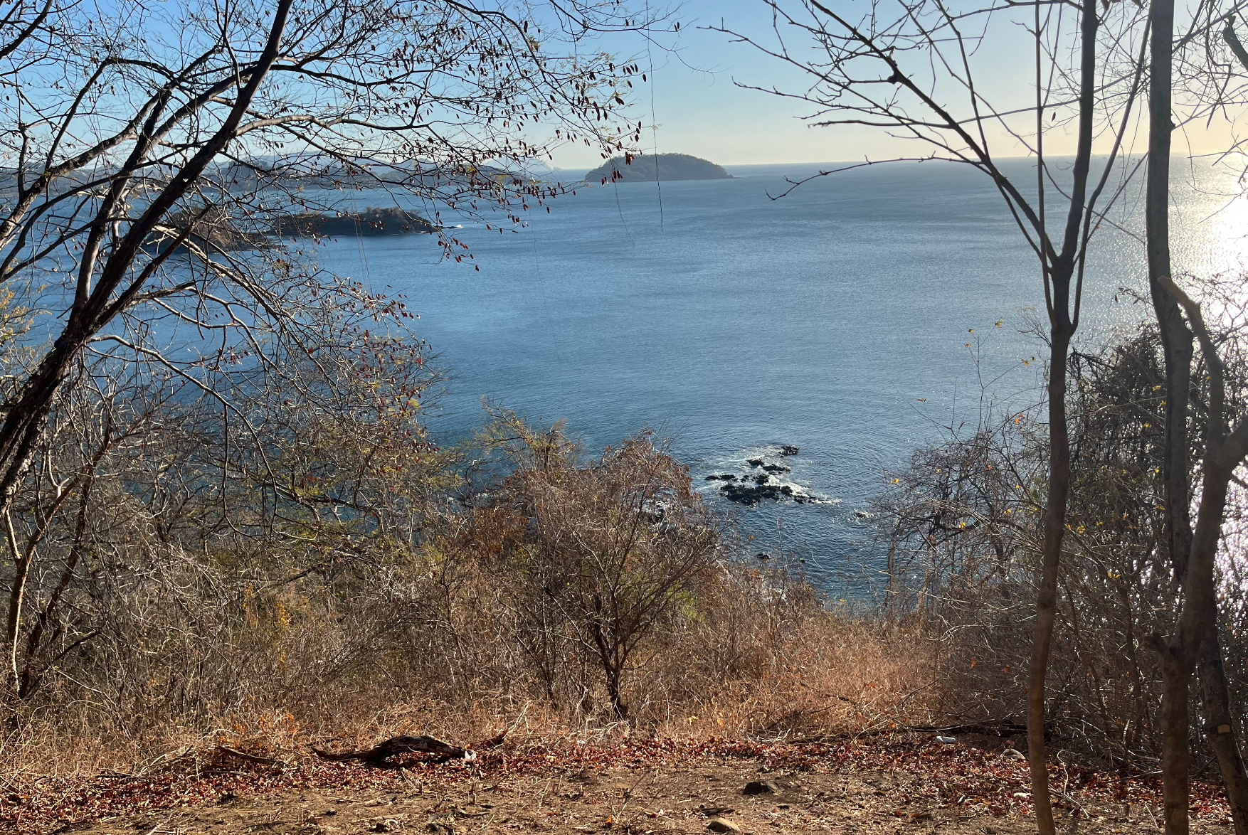 Private Oceanfront Property with 330m Beachfront — photo 6 of 11