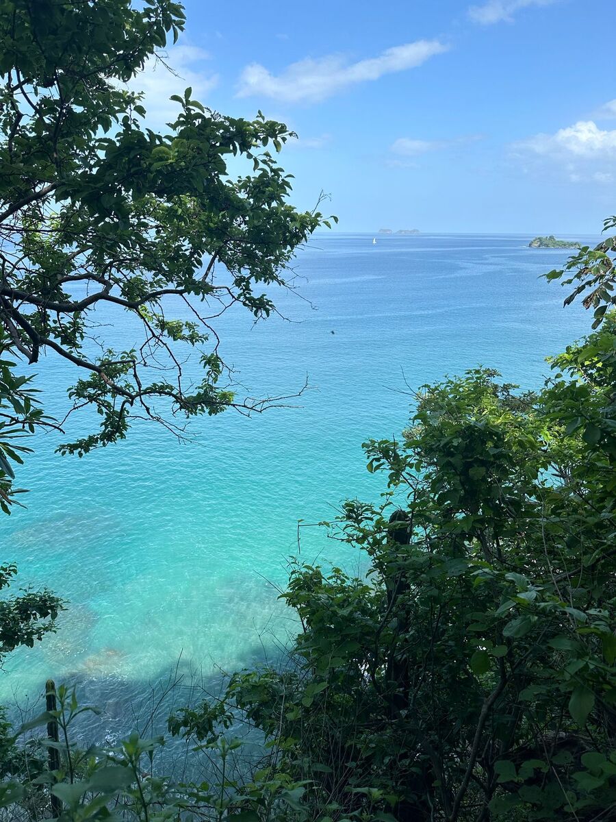 Private Oceanfront Property with 330m Beachfront — photo 10 of 11