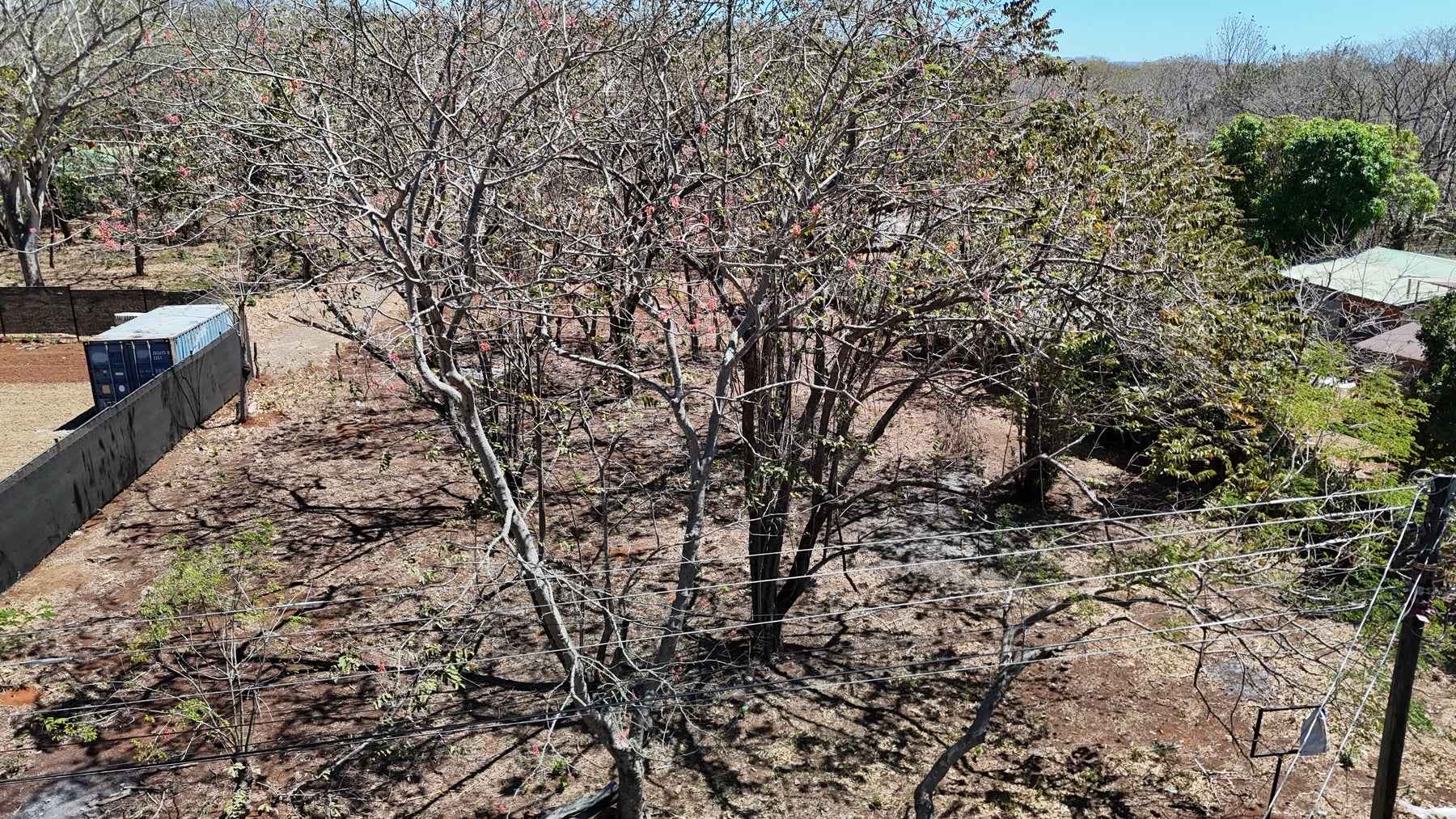 Affordable Lots in Playa Lagartillo — photo 6 of 13
