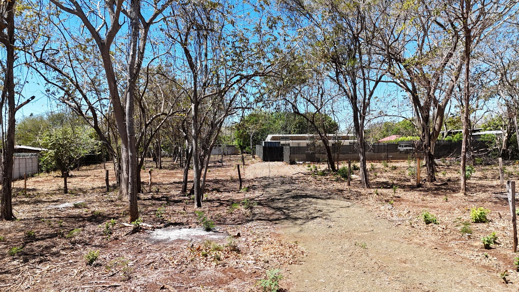 Affordable Lots in Playa Lagartillo — photo 7 of 13
