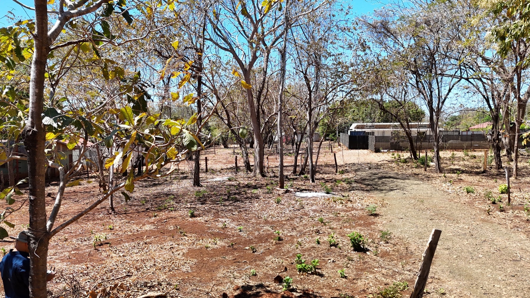 Affordable Lots in Playa Lagartillo — photo 9 of 13