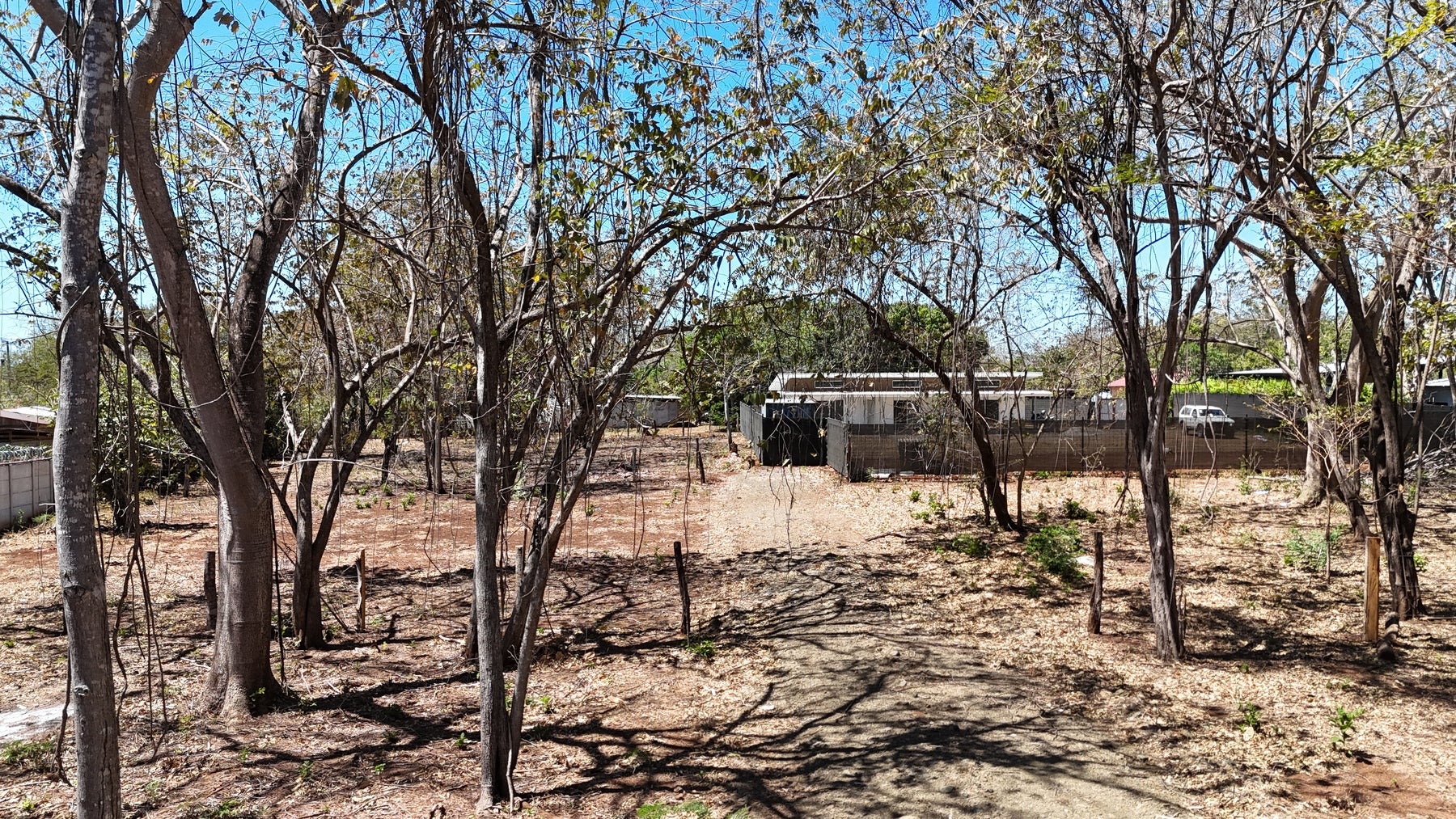 Affordable Lots in Playa Lagartillo — photo 10 of 13