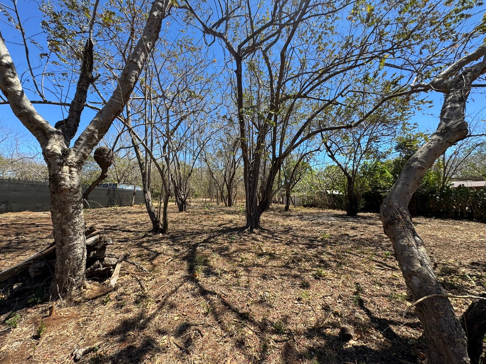Affordable Lots in Playa Lagartillo — photo 12 of 13