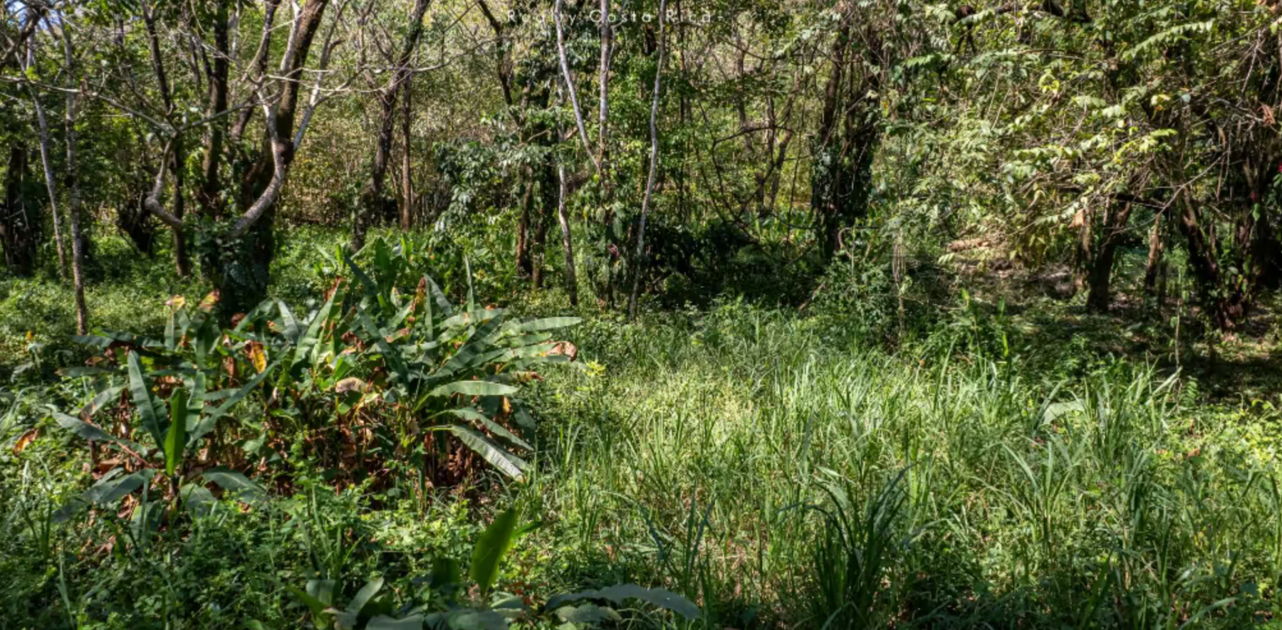 Development Land in Cabuya — photo 3 of 4