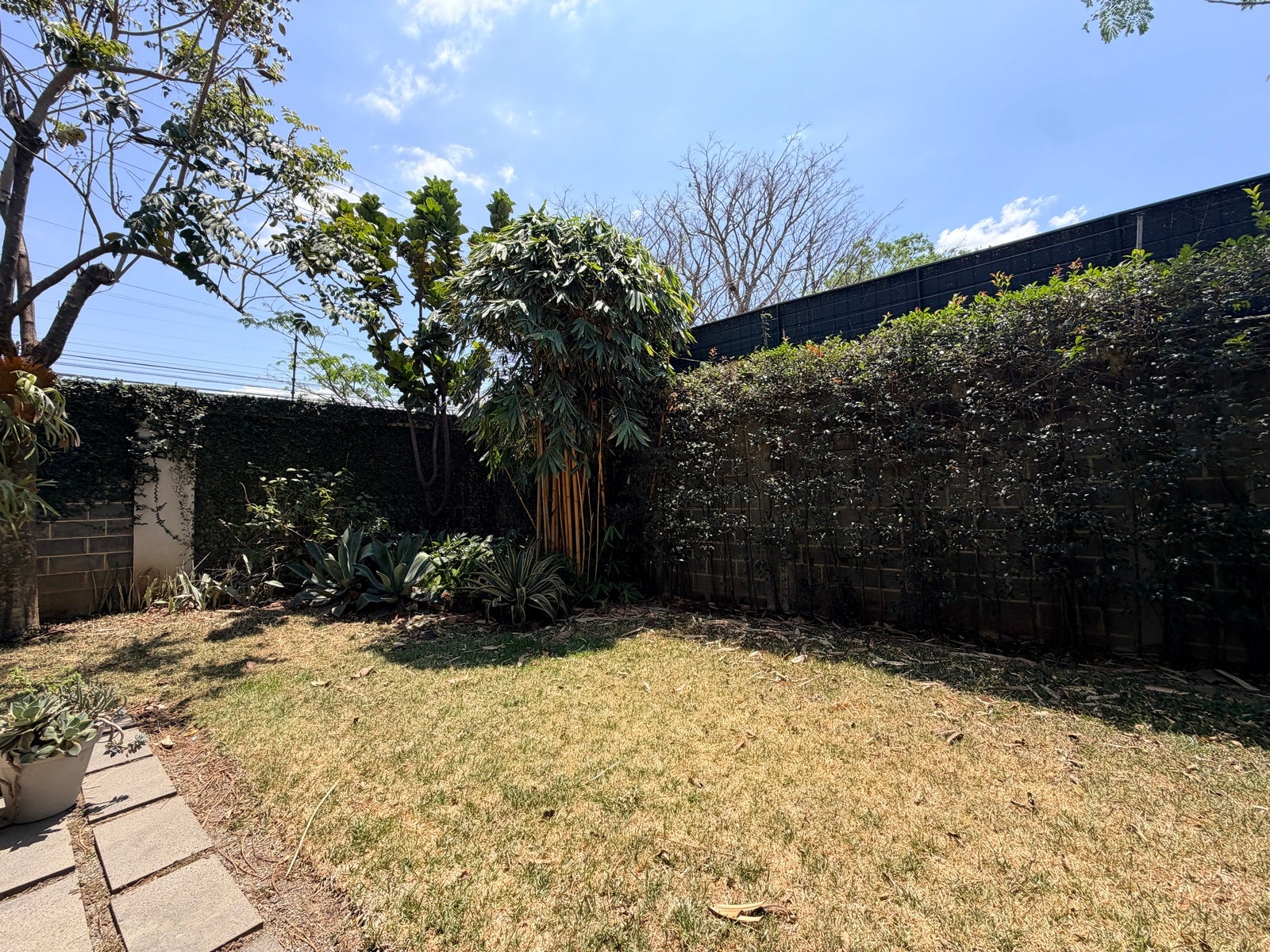 Valvanera Corner Residence — photo 5 of 19