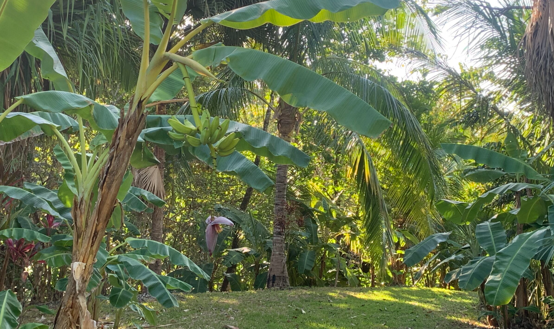 Private Sanctuary in Montezuma — photo 2 of 8