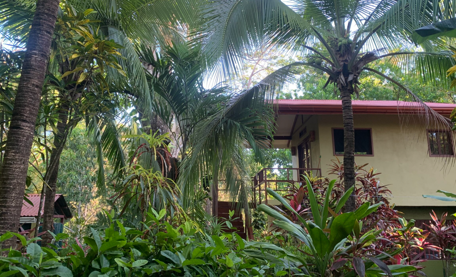 Private Sanctuary in Montezuma — photo 5 of 8