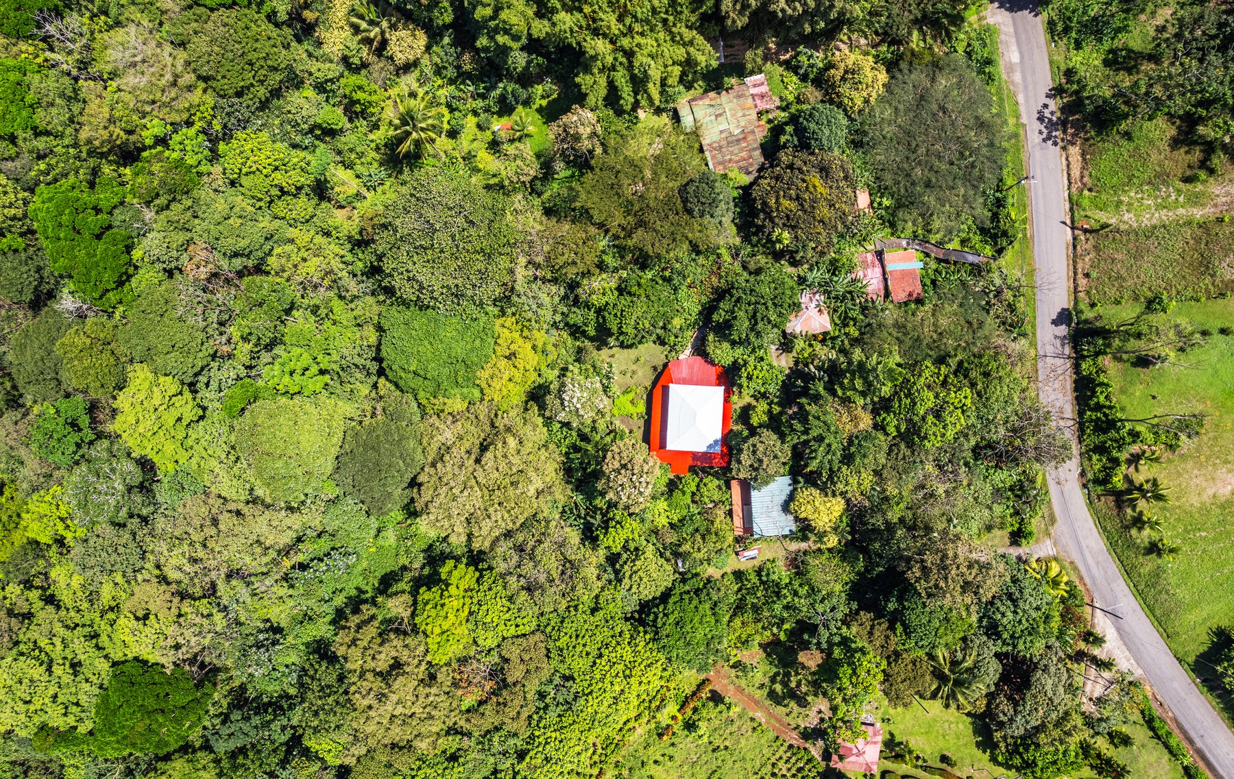 Jungle Compound With River Access, La Fortuna, La Fortuna, Lake Arenal, San Ramon, Alajuela, Alajuela, Costa Rica 21001 Jungle Compound With River Access, La Fortuna, La Fortuna, Lake Arenal, San Ramon, Alajuela, Alajuela, Costa Rica 21001