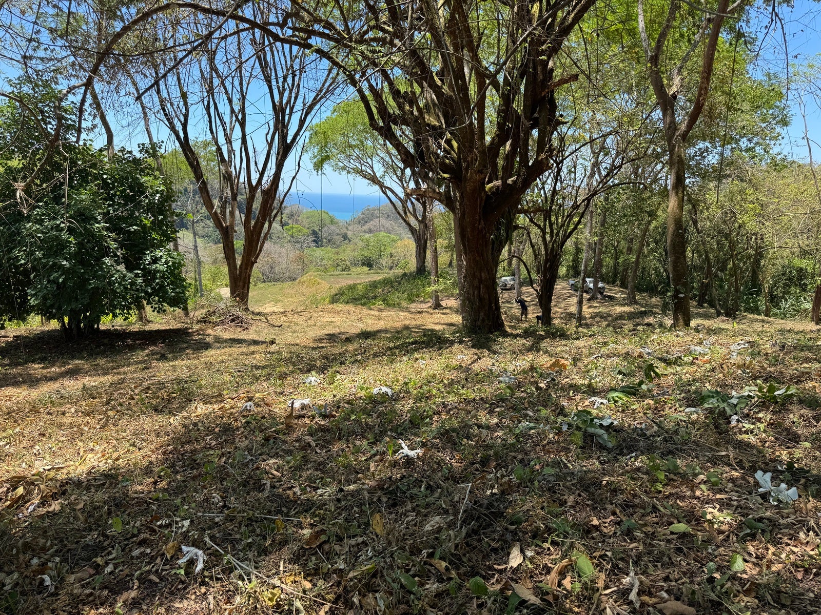 Gorgeous Ocean View Lot in Quiet Residential Neighborhood — photo 8 of 8