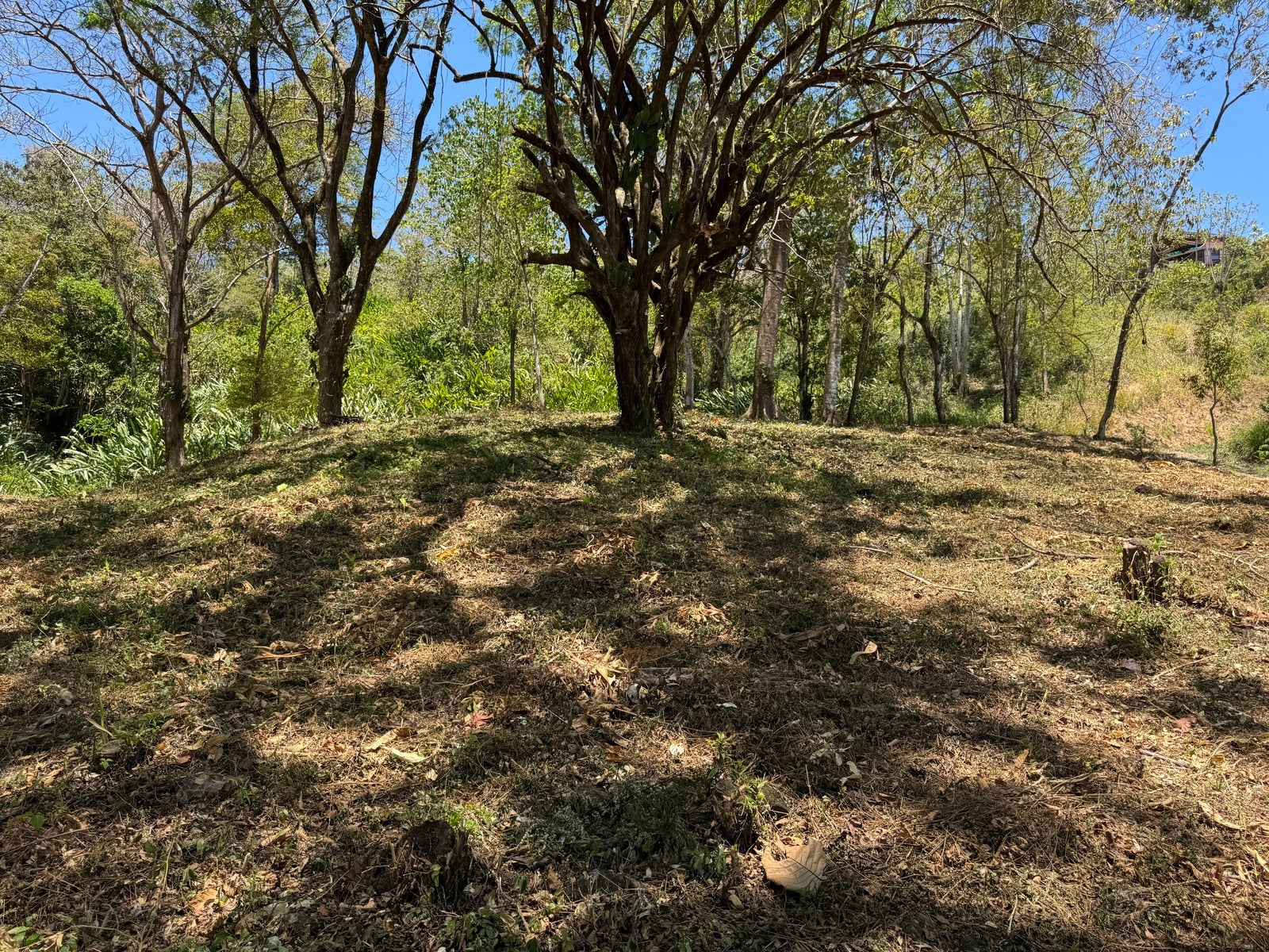 Gorgeous Ocean View Lot in Quiet Residential Neighborhood — photo 4 of 8