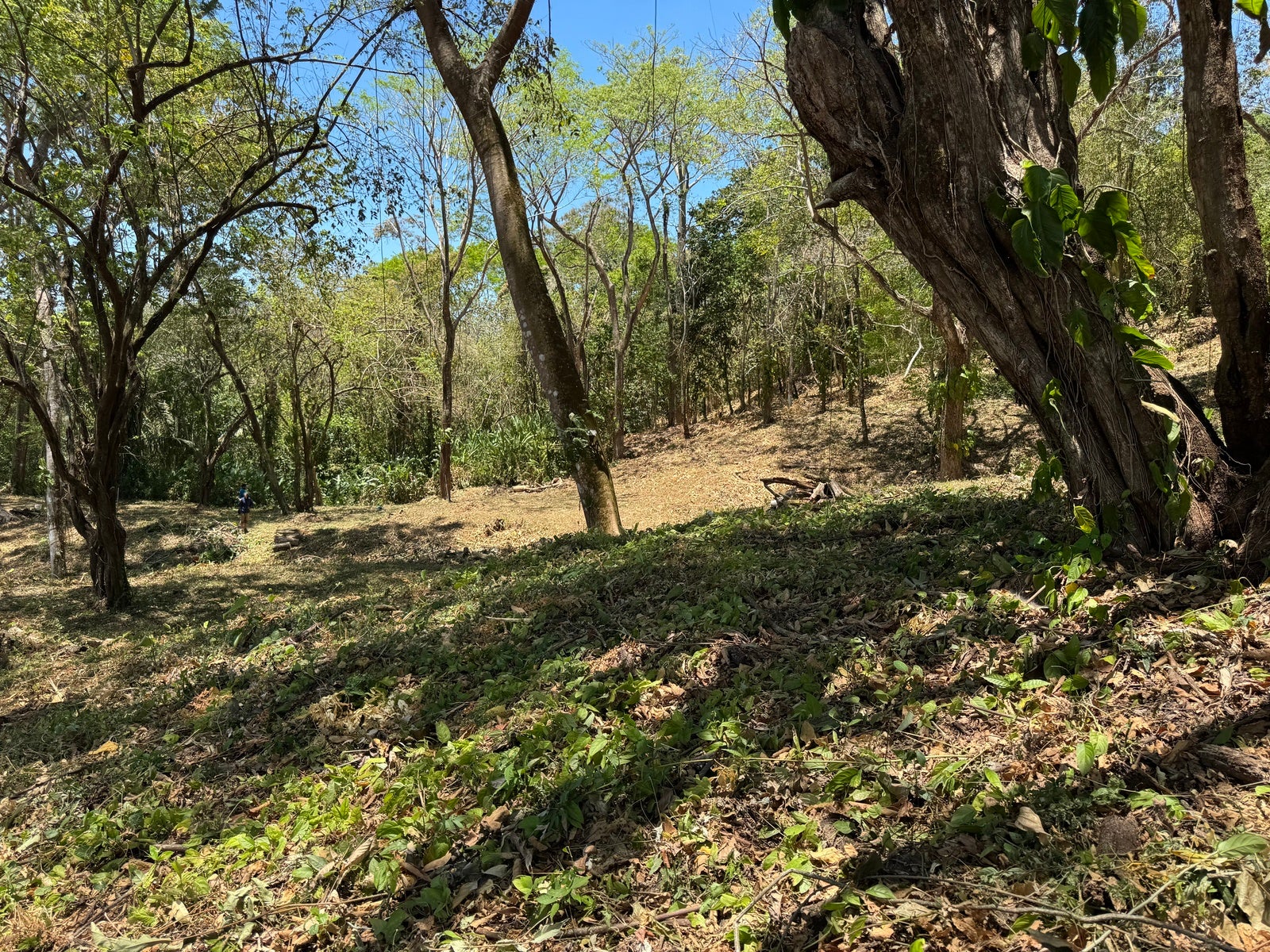 Gorgeous Ocean View Lot in Quiet Residential Neighborhood — photo 5 of 8