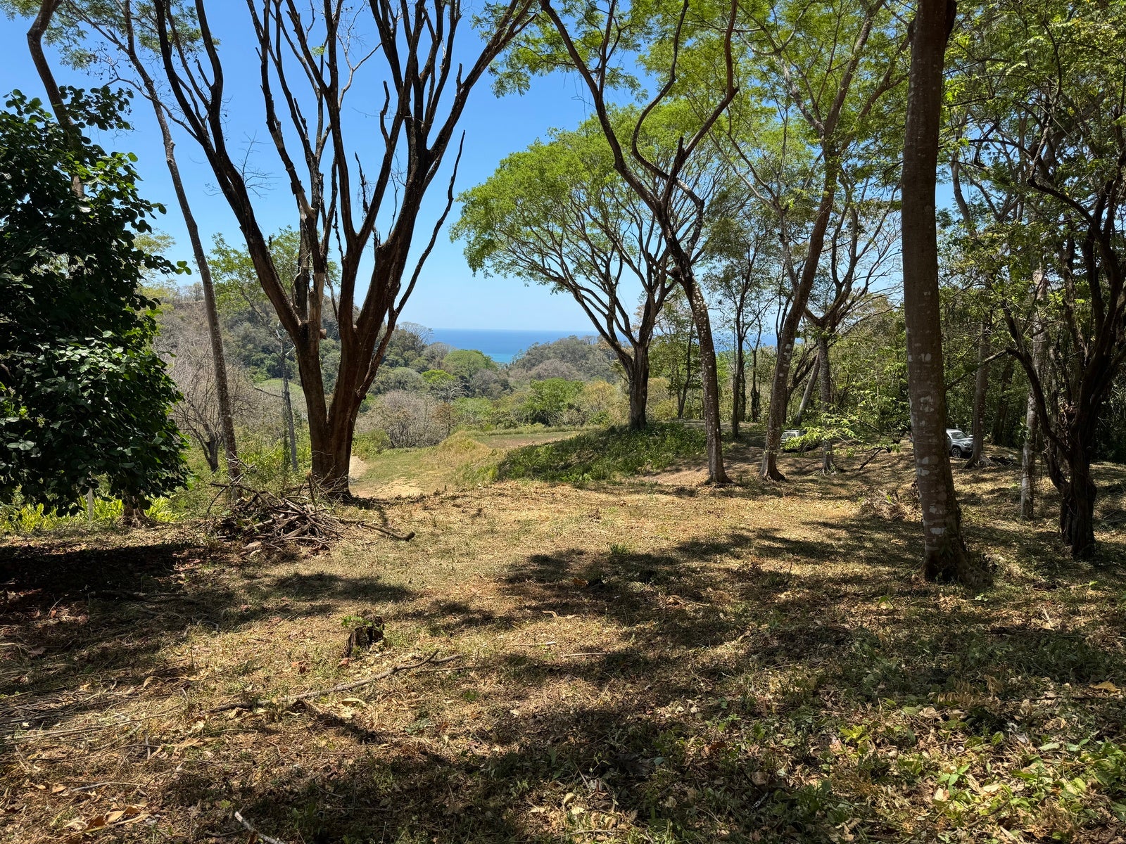 Gorgeous Ocean View Lot in Quiet Residential Neighborhood — photo 6 of 8